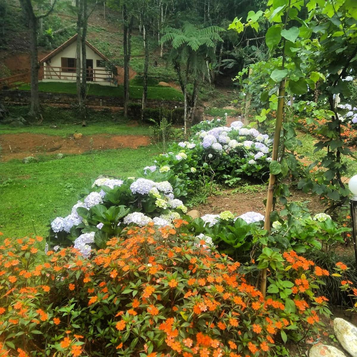Sitio Recanto da Paz Chalés - casa e chalé para temporada