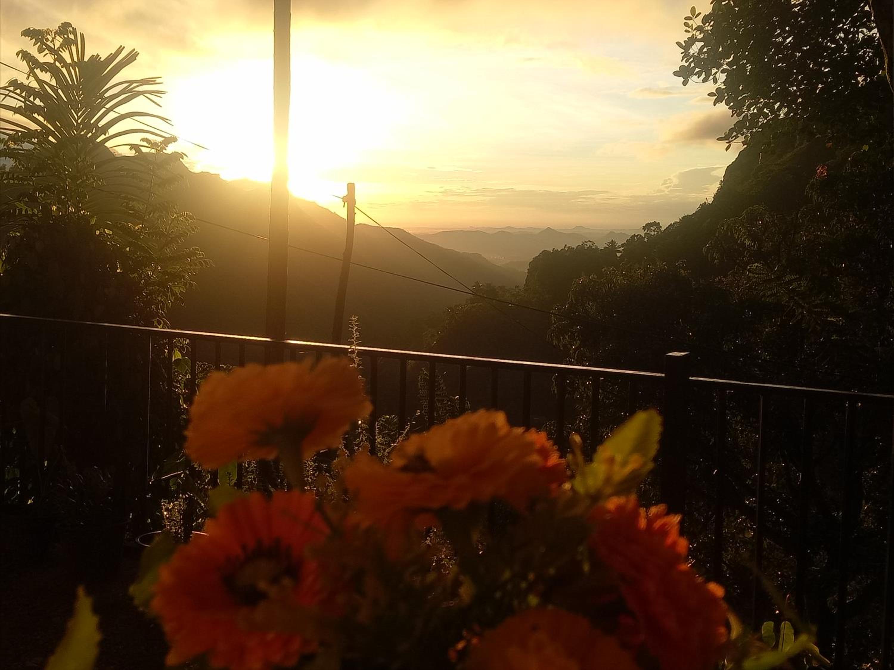V@Ella guesthouse