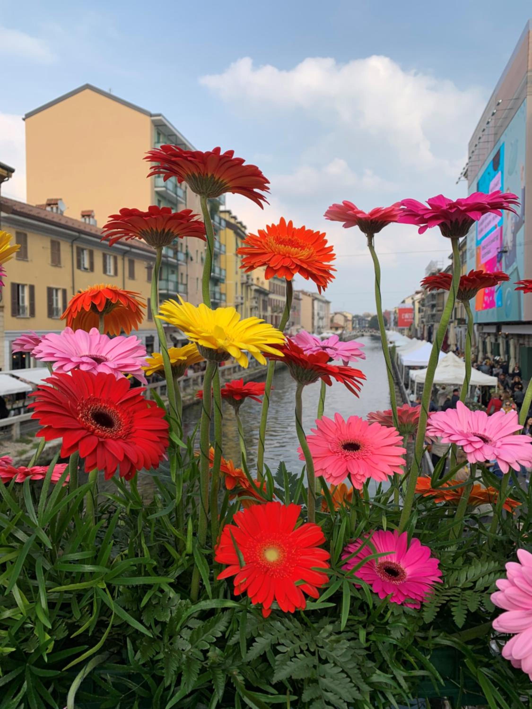 Ripa Apartments Milano - Ripa 57