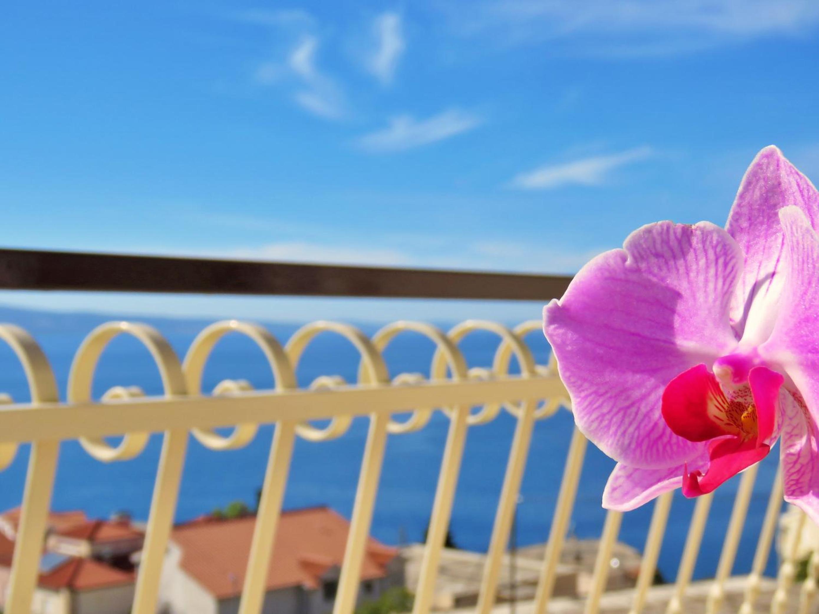 Apartments Nemira view 2