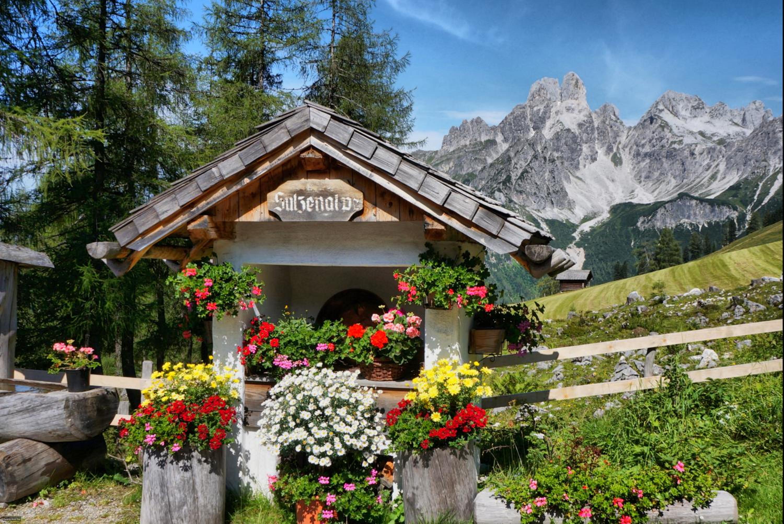 Bauernhof Krahlehen - B&B - Apartments
