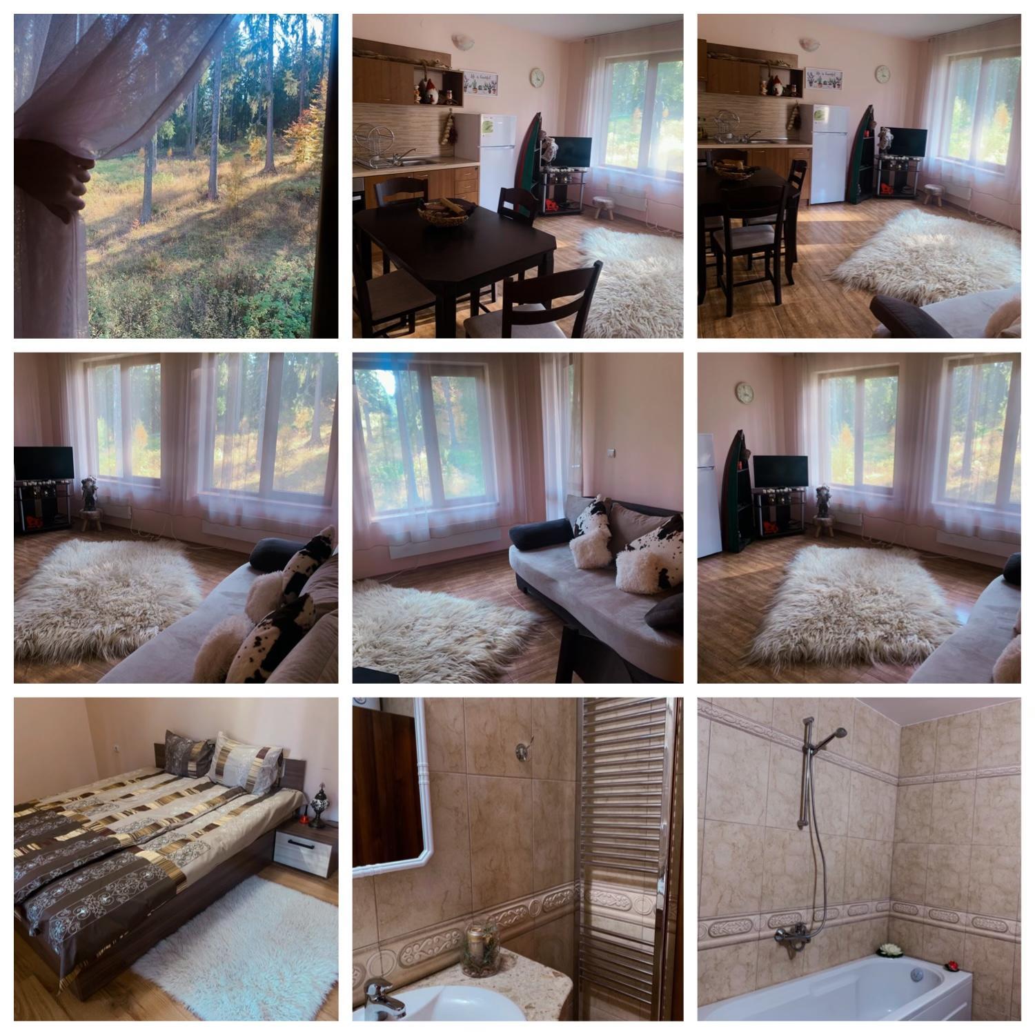 Evrika home 19