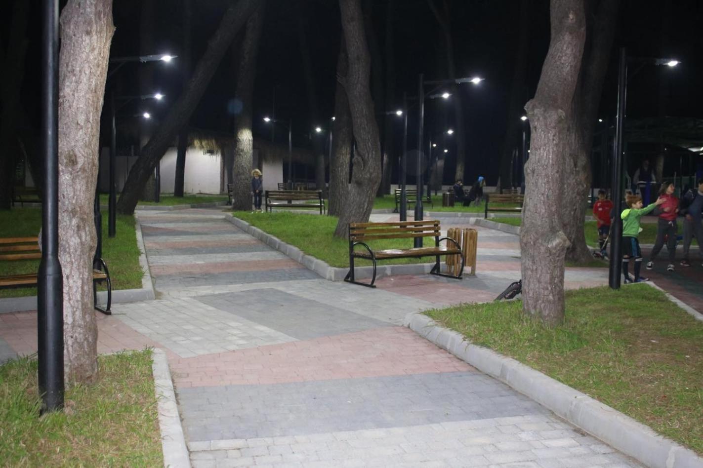 Photo 42