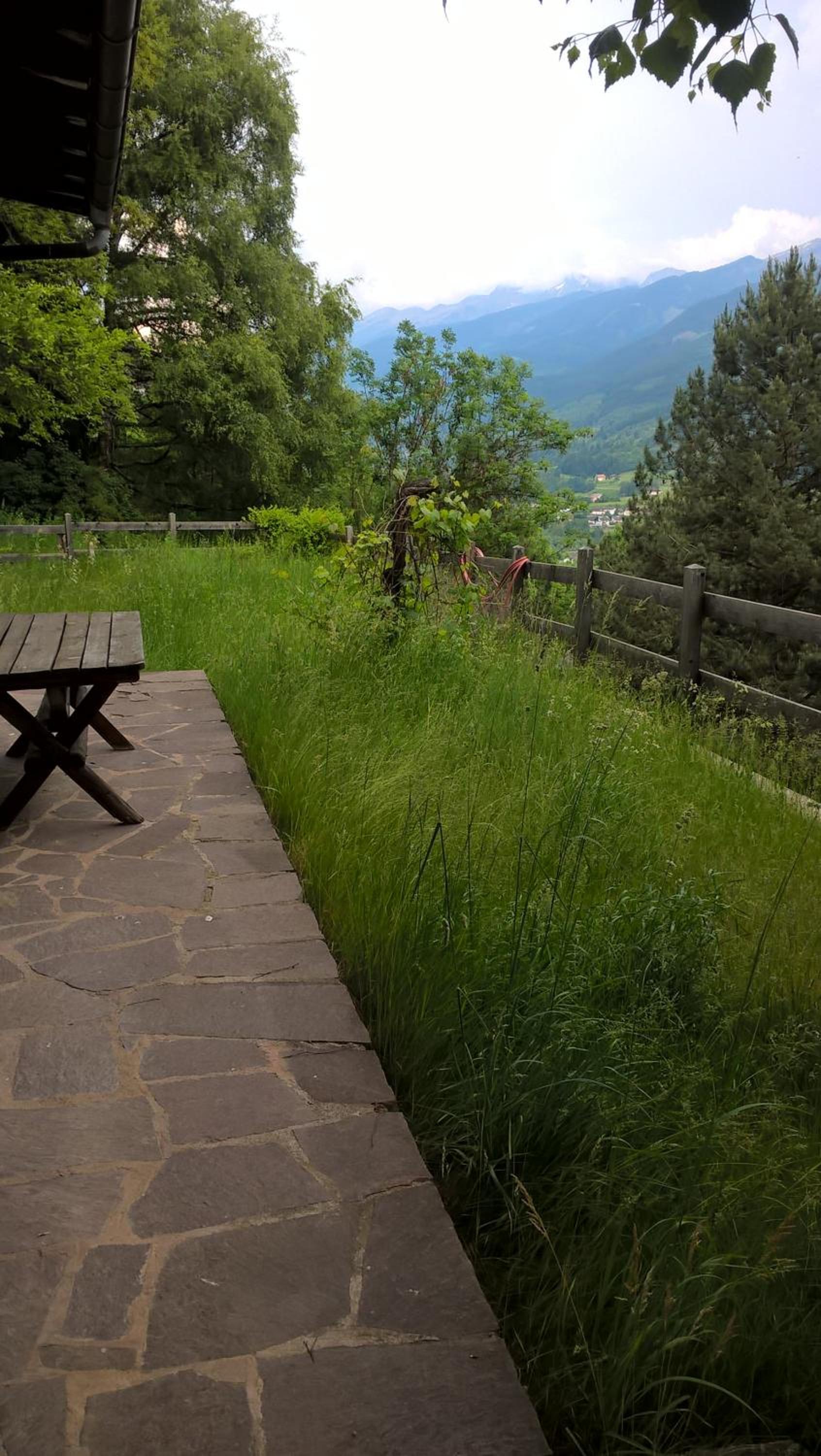 Baita cavalese giardino esclusivo