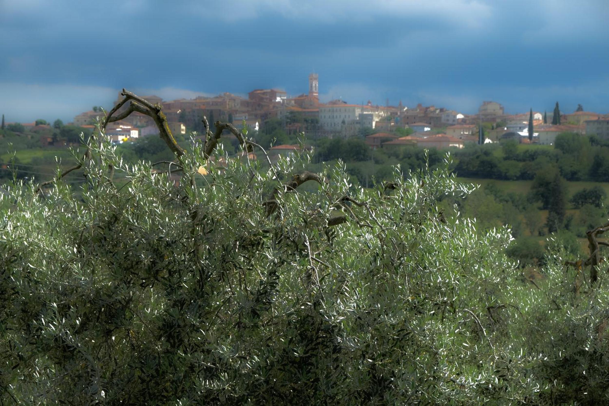 Casa vacanze Fatucchi