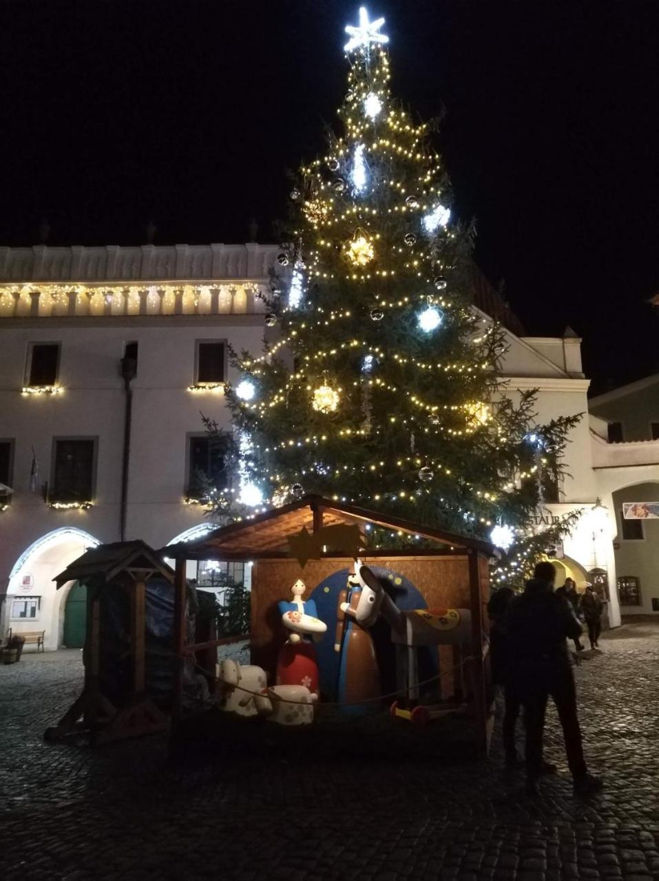 Photo 41