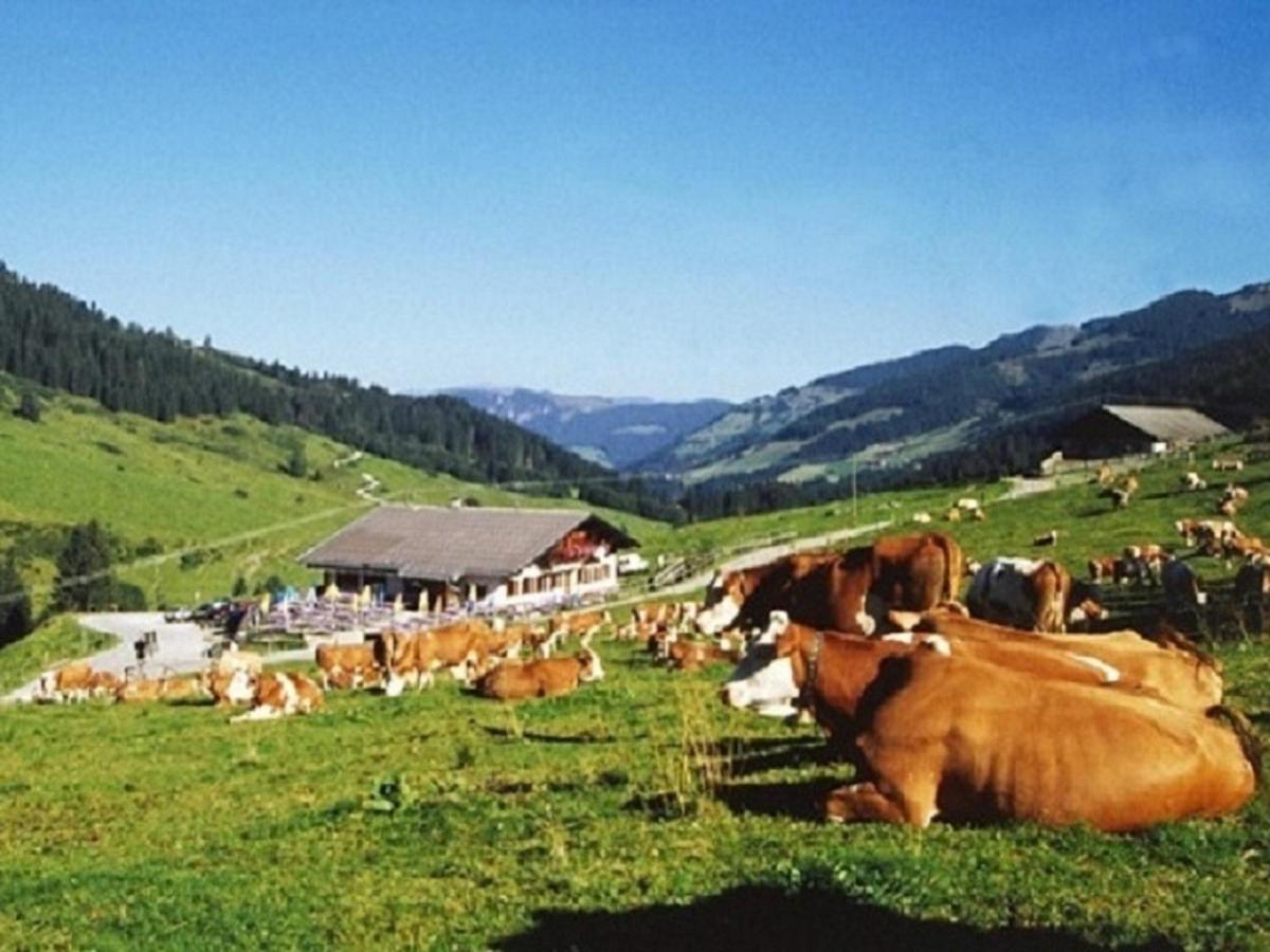 Haus Waldblick