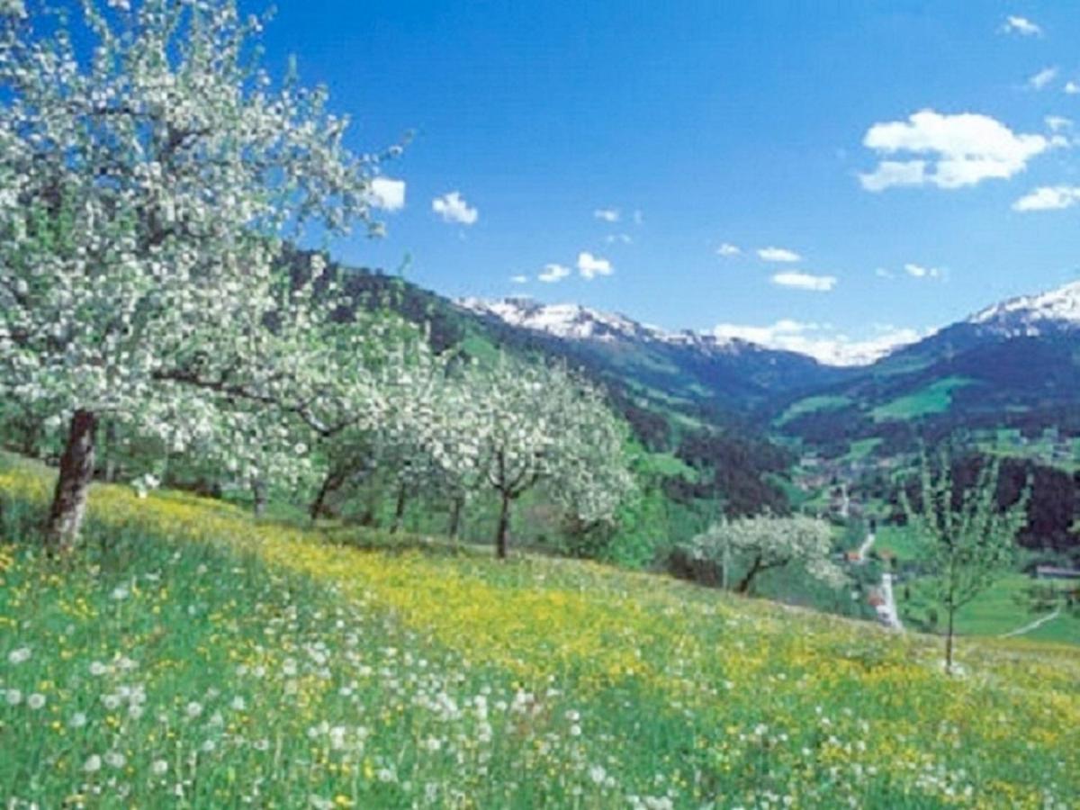 Haus Waldblick
