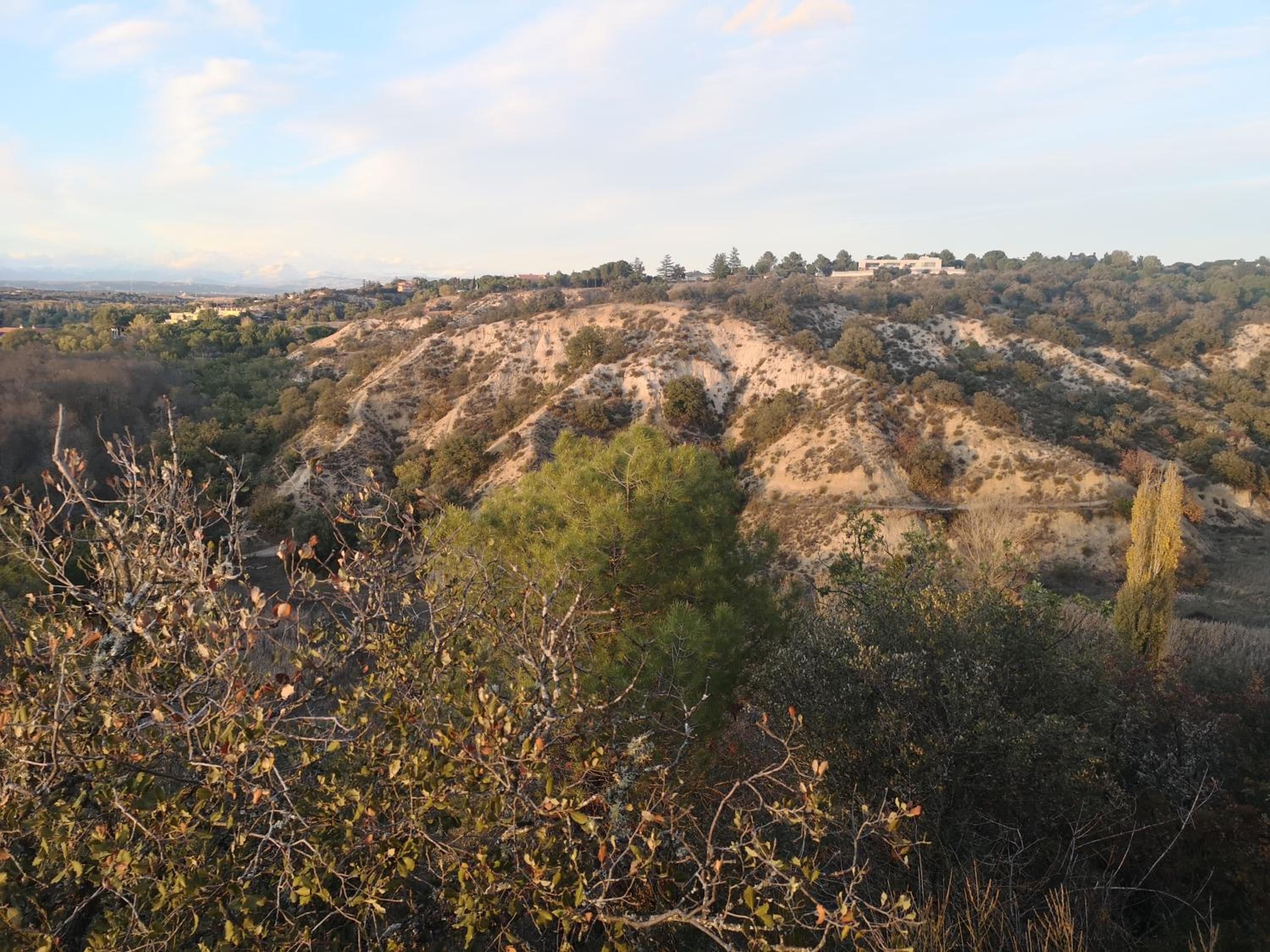 Photo 31