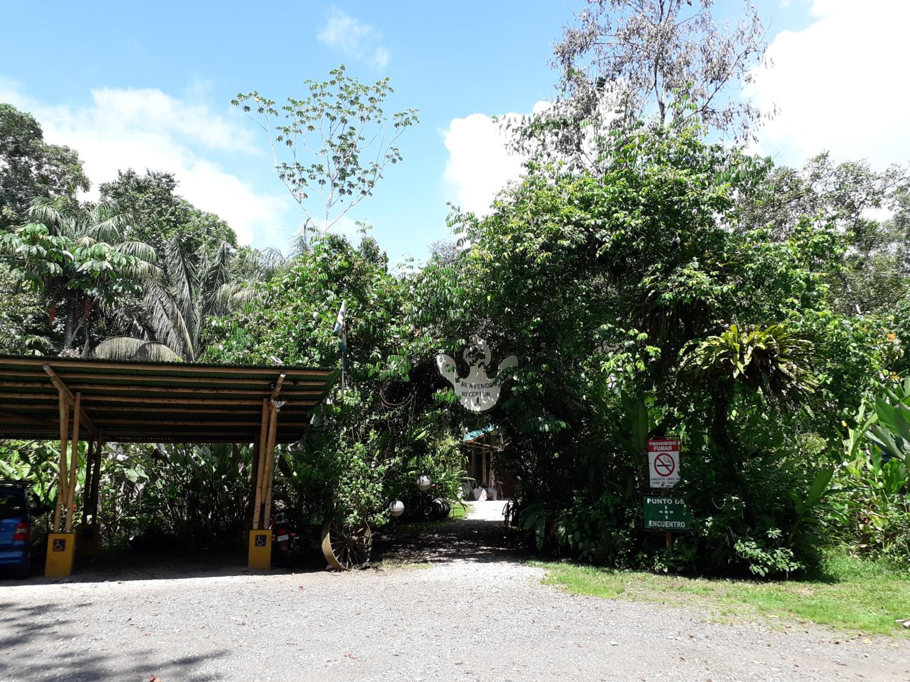 parking