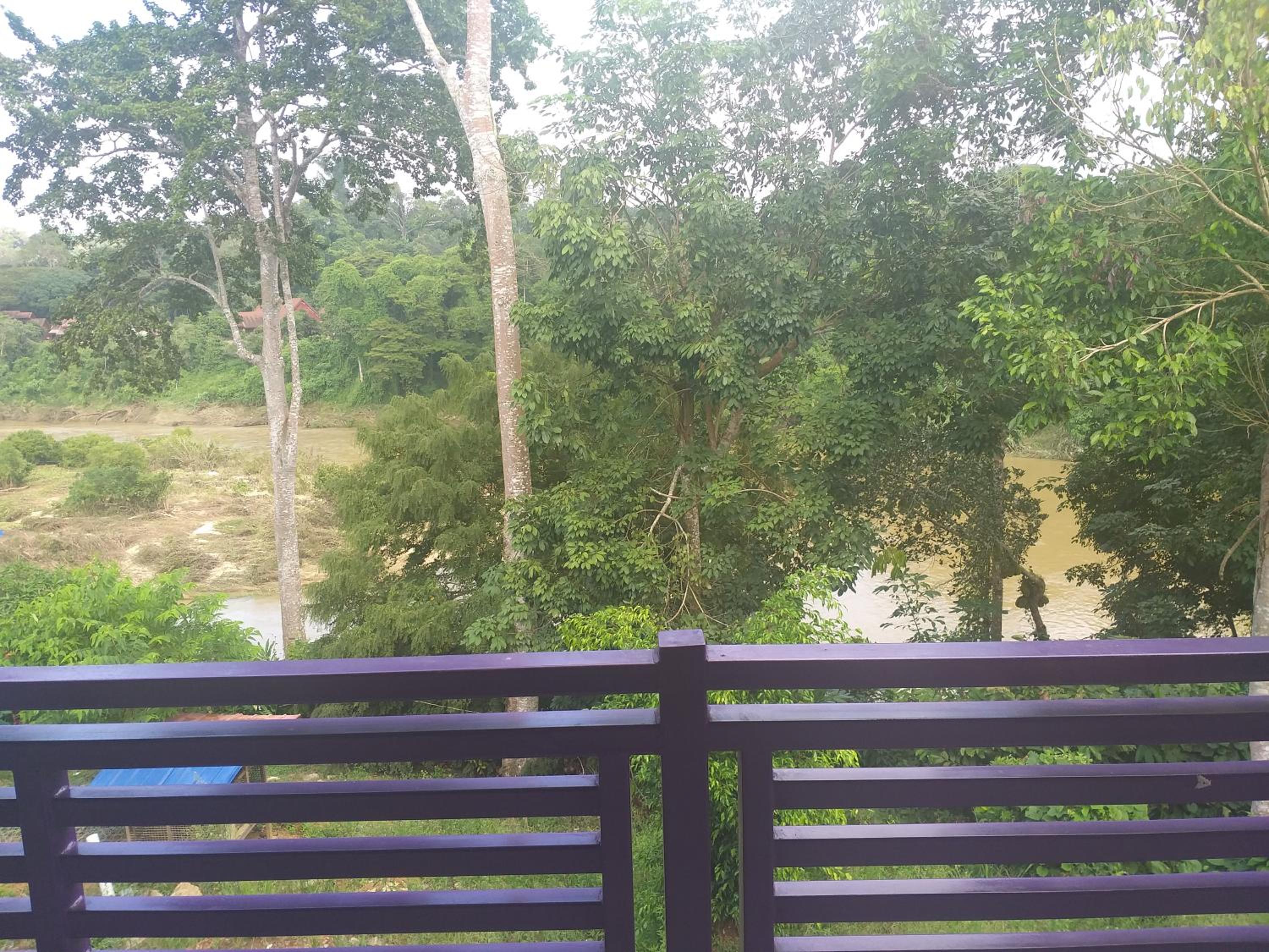 Taman Negara River View Lodge