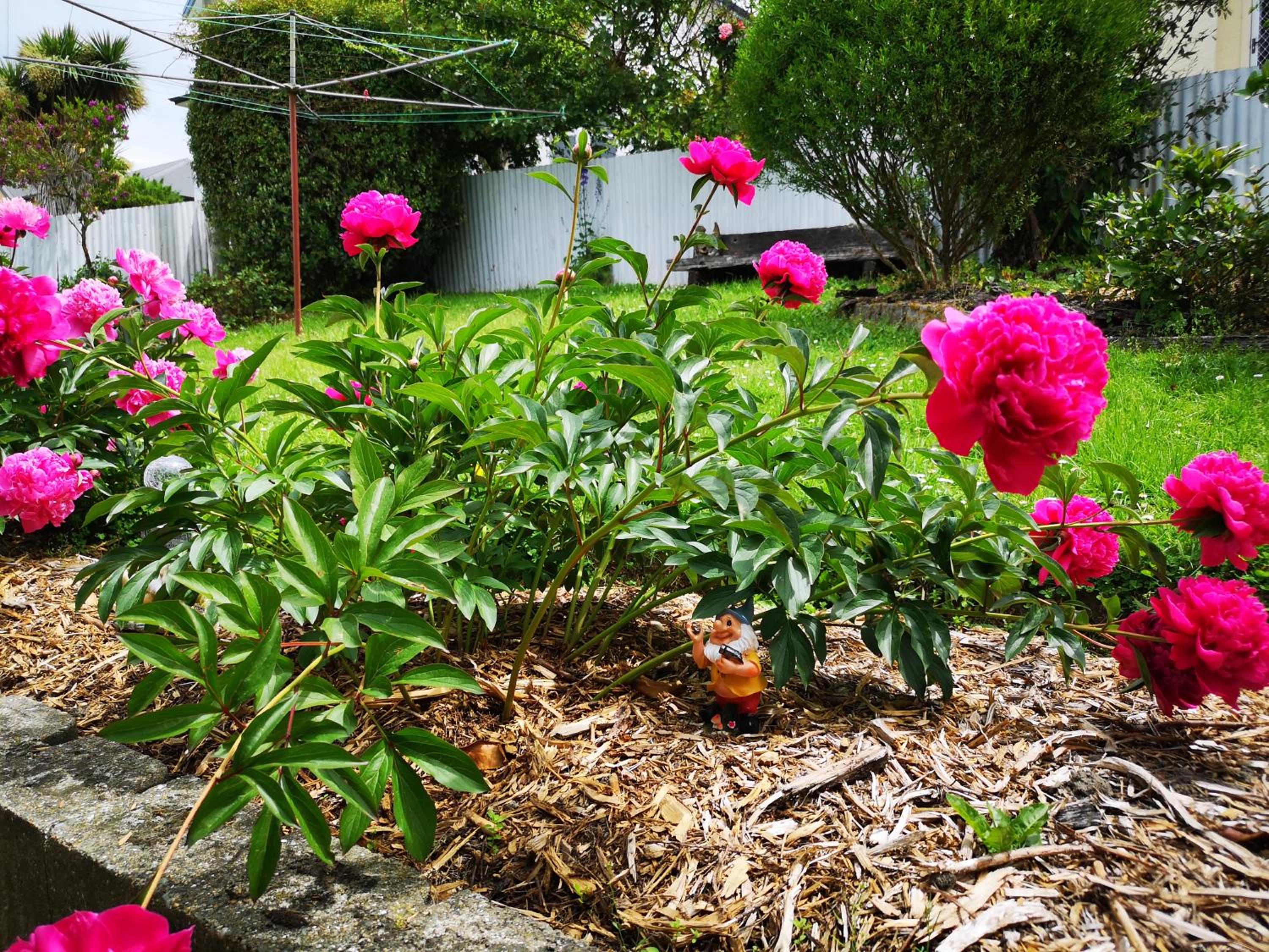 Photo 35