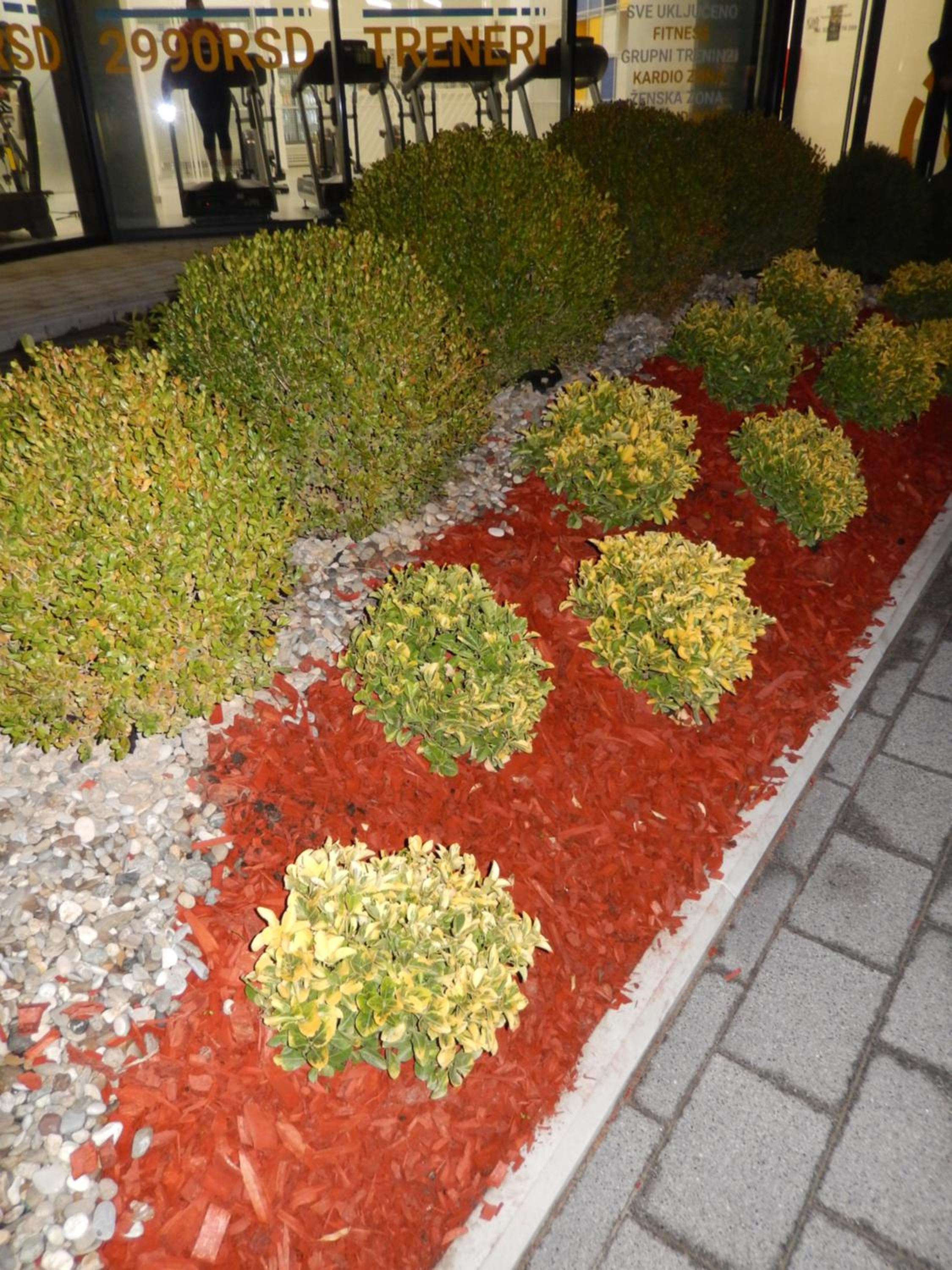 Photo 46
