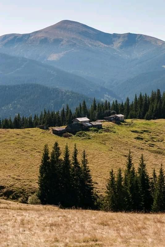 Kreitser