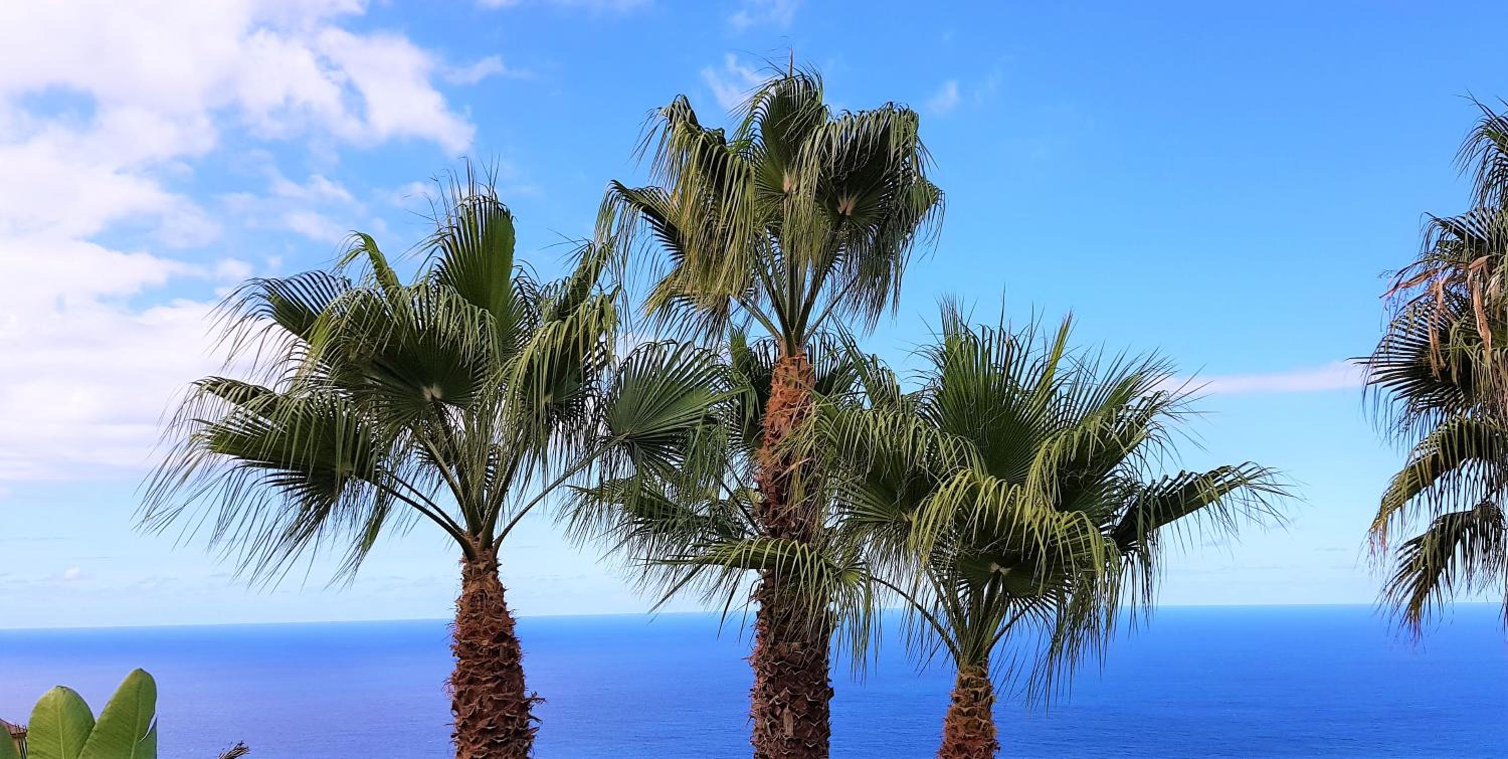 Villa Larnia de Tenerife