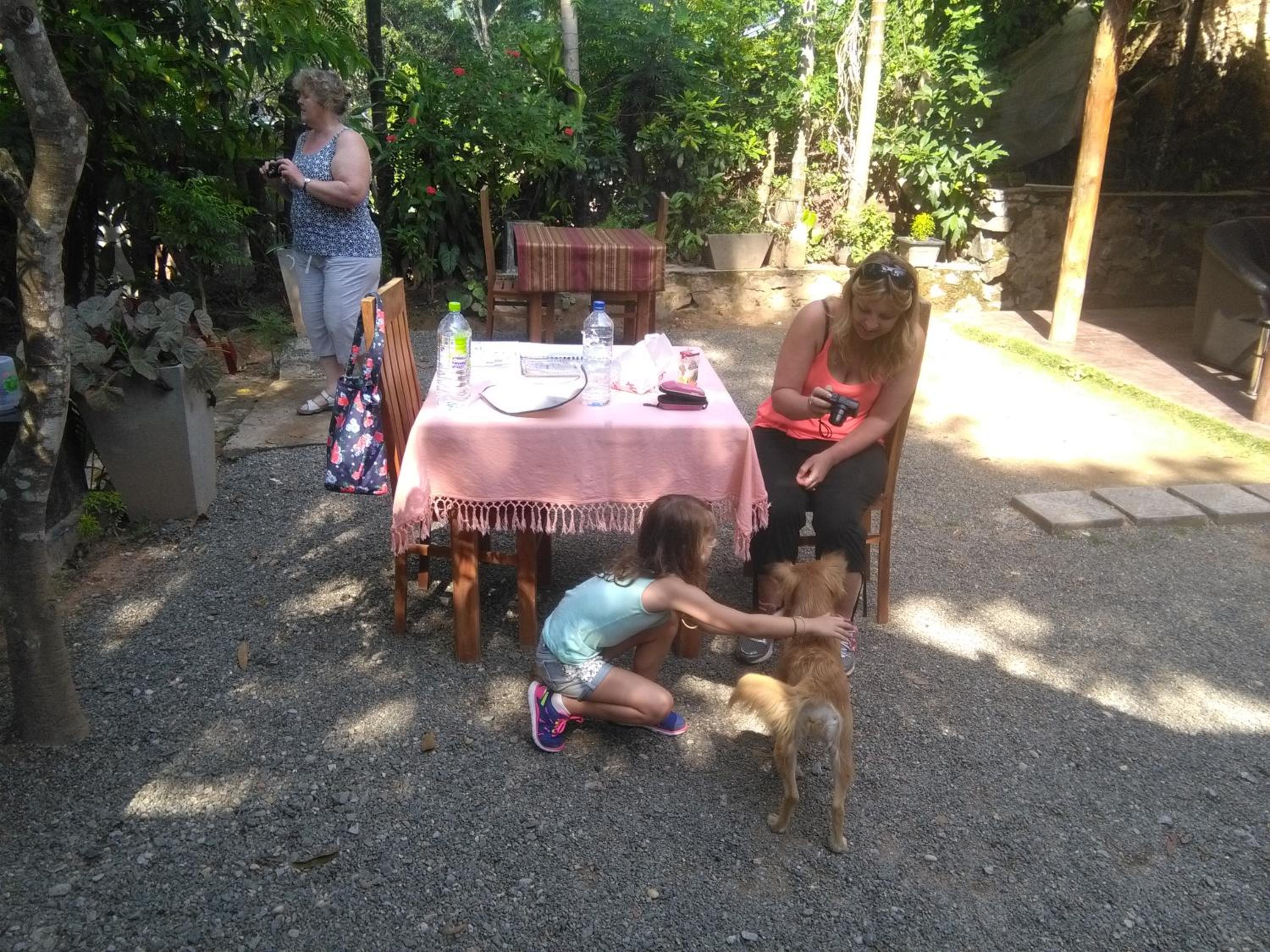 Photo 32