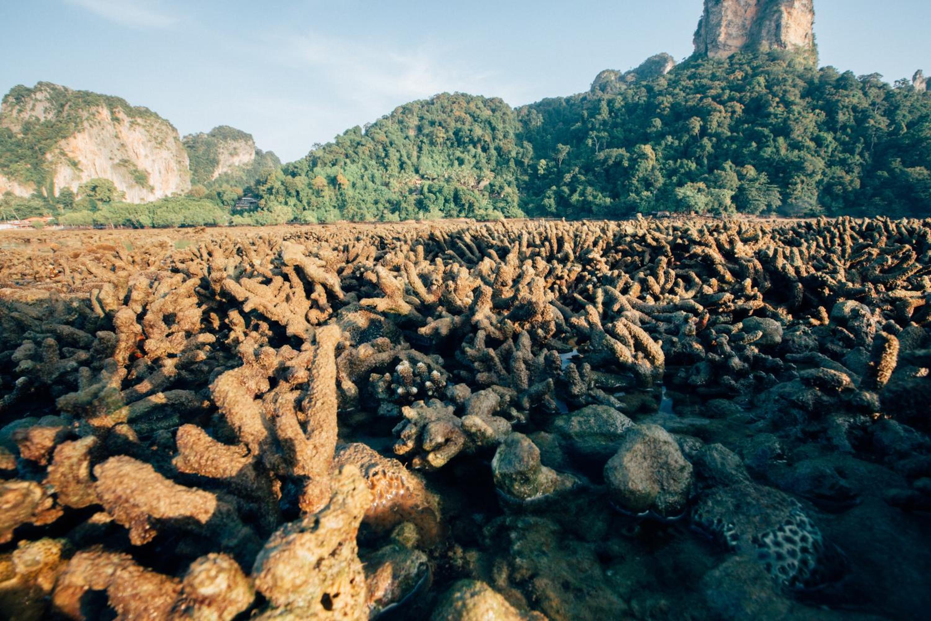 Railay Garden View Resort