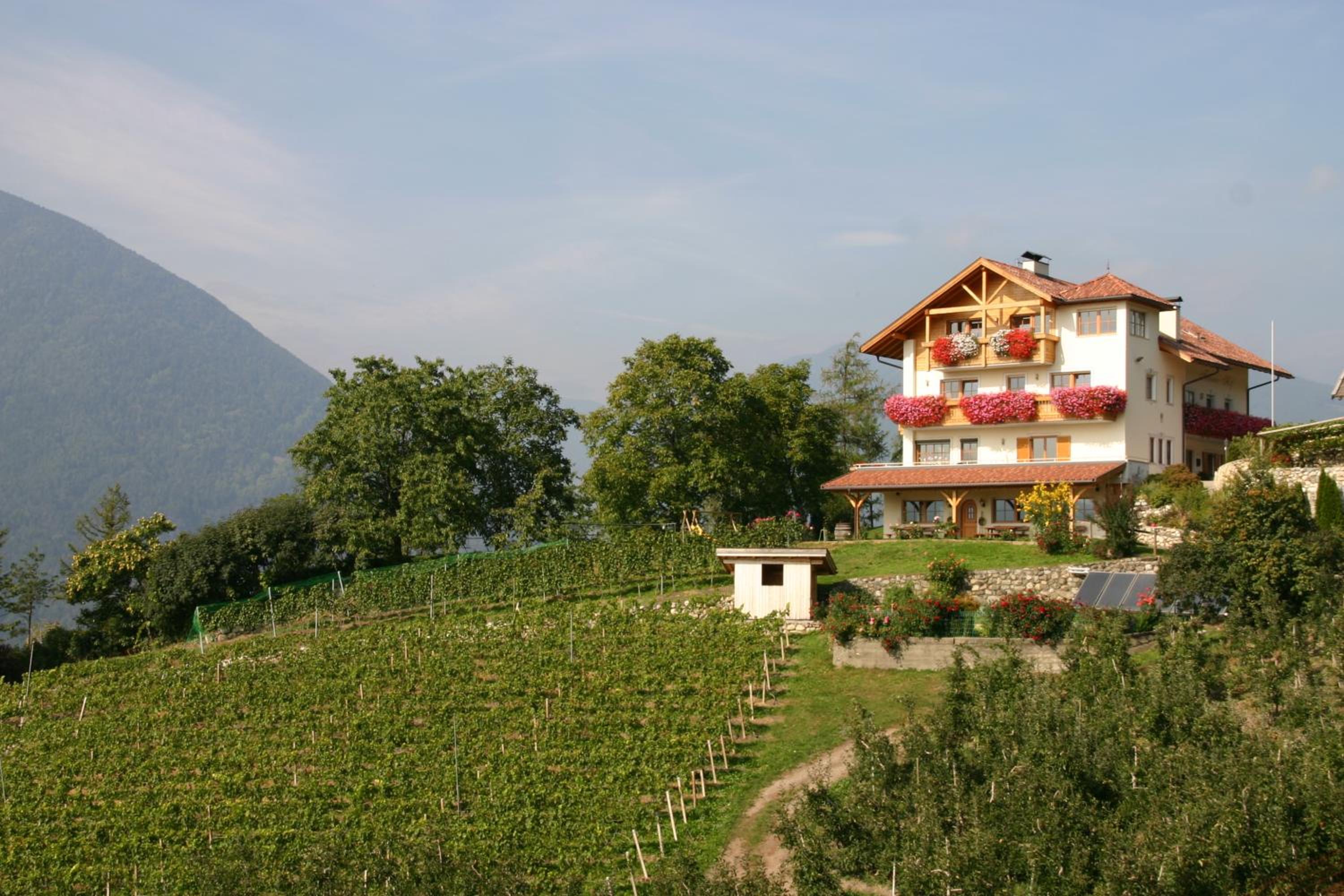 Trinnerhof Hof Chalets and Farm- Panorama Holidays & Brixen Card view 3