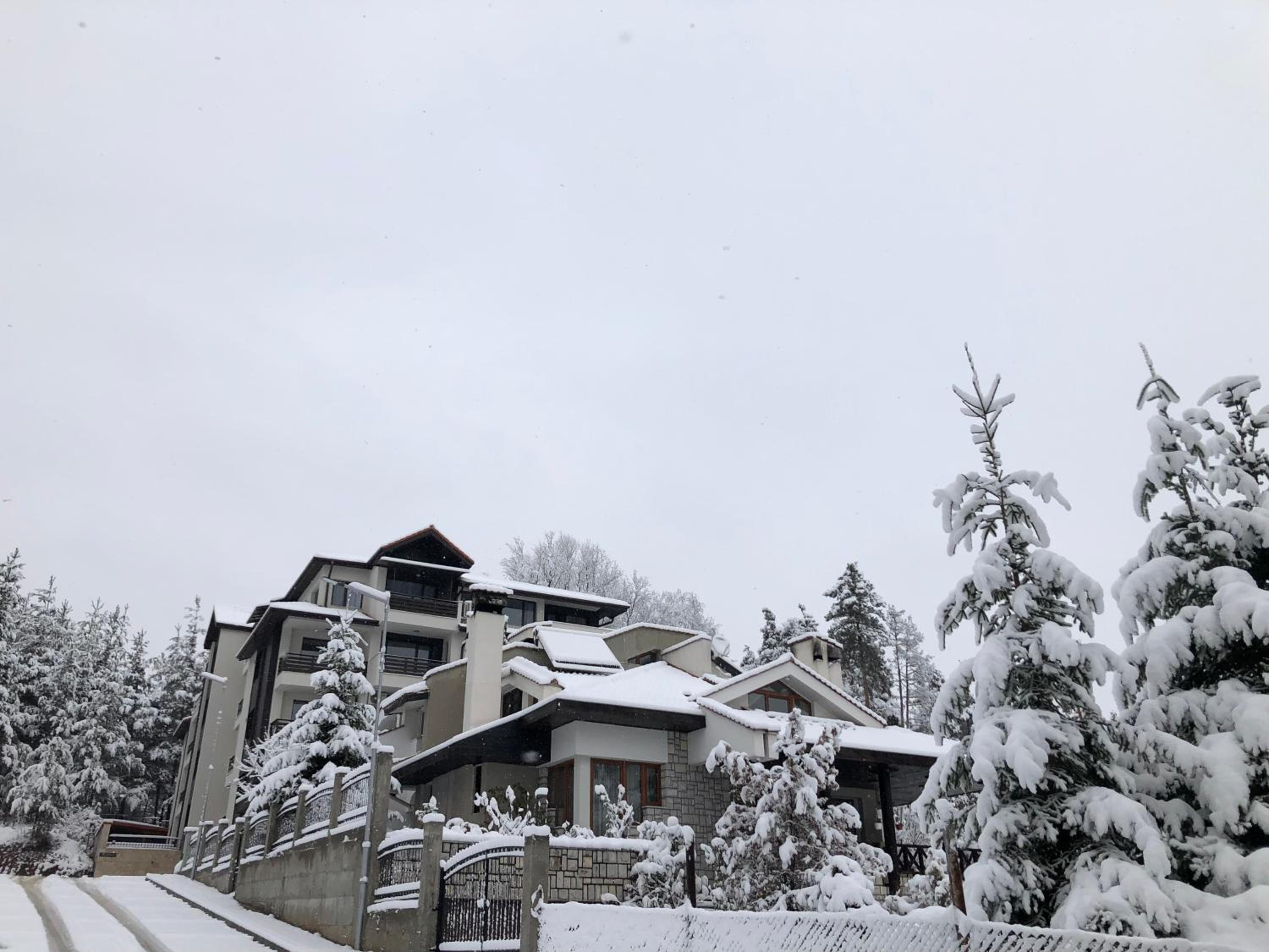 Borov park 3
