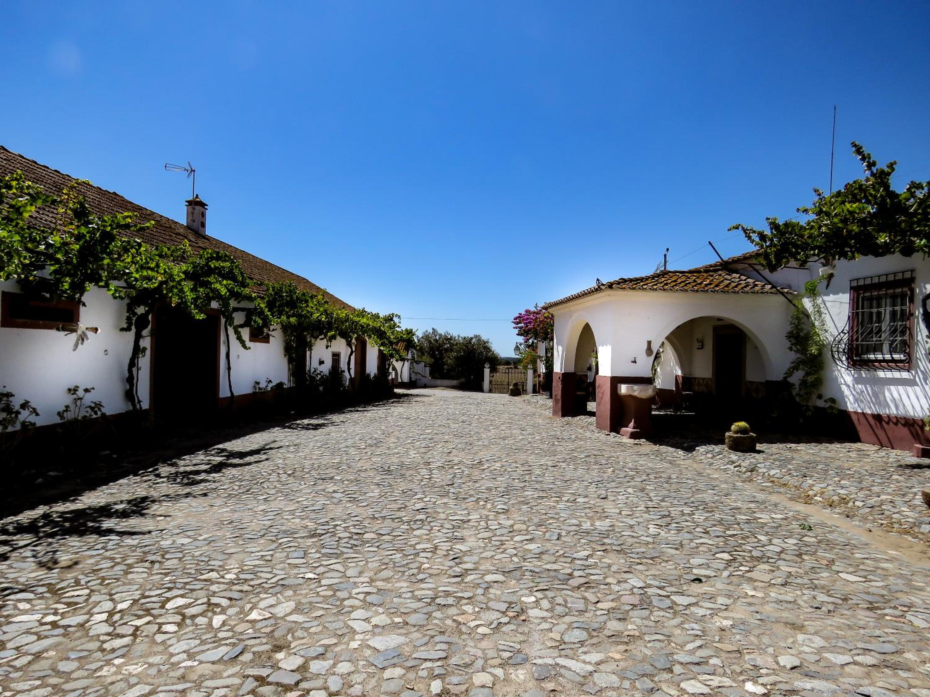 Monte das Oliveiras view 2