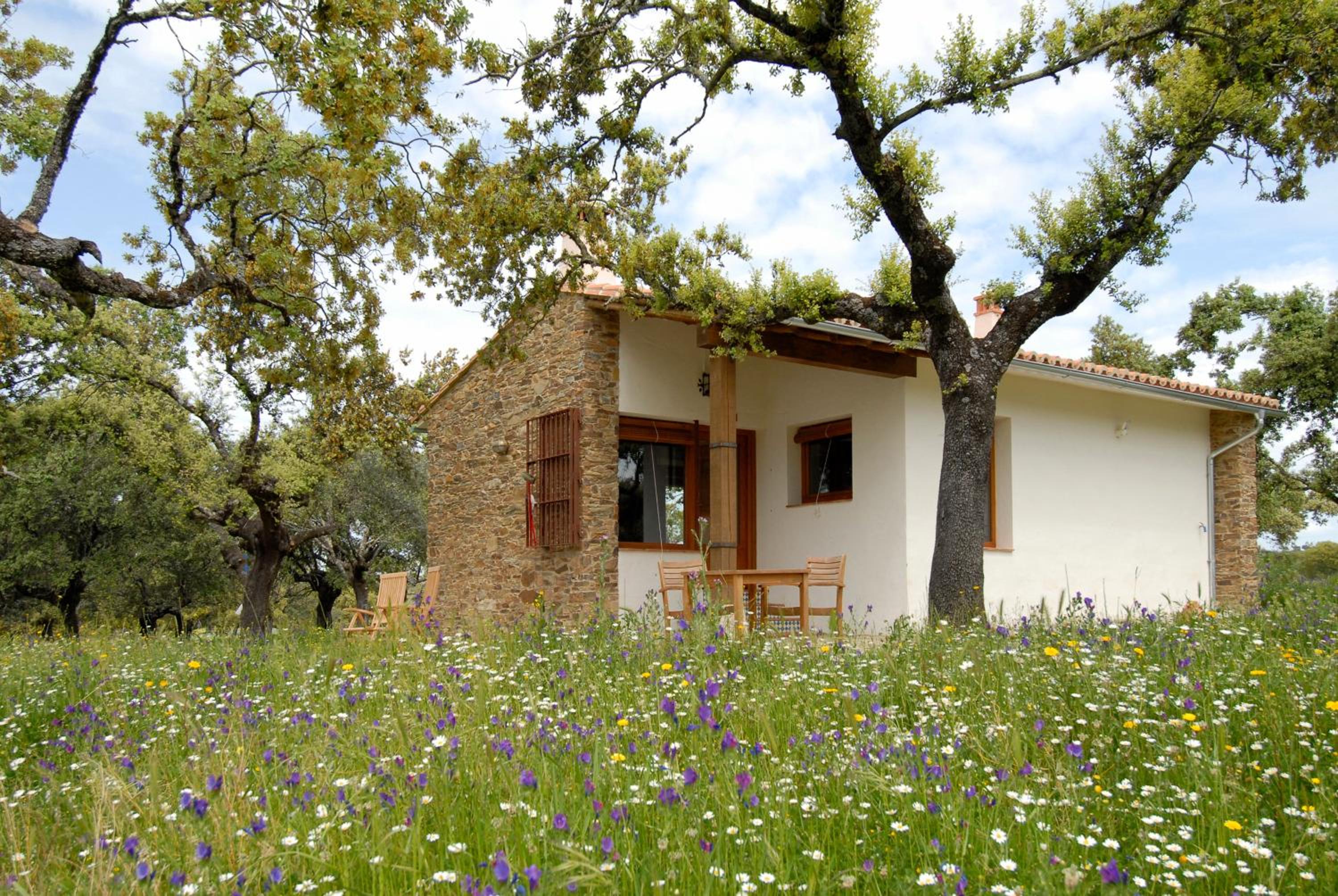 Finca Las Abubillas