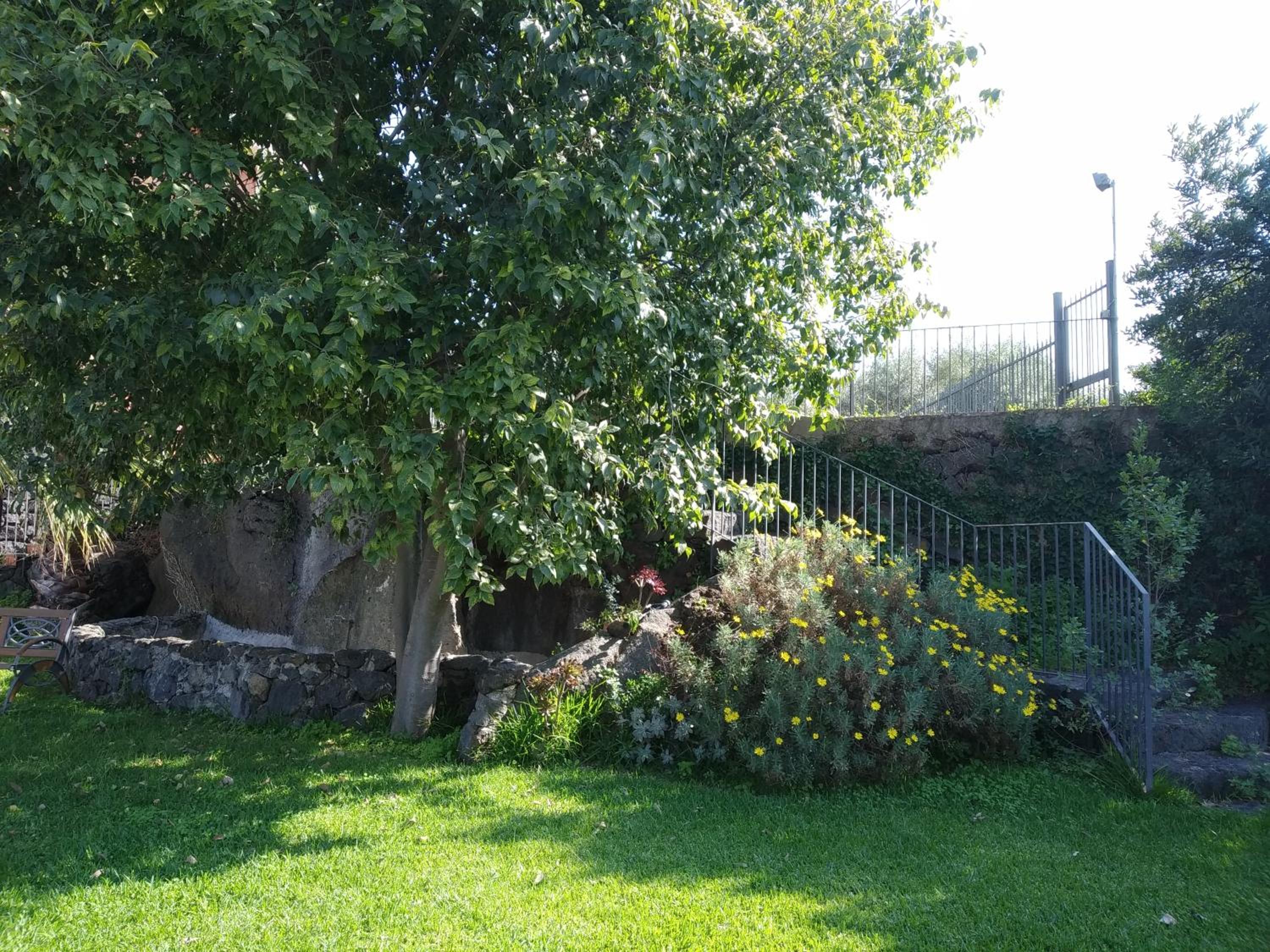 Case Vacanze Residence Trinacria