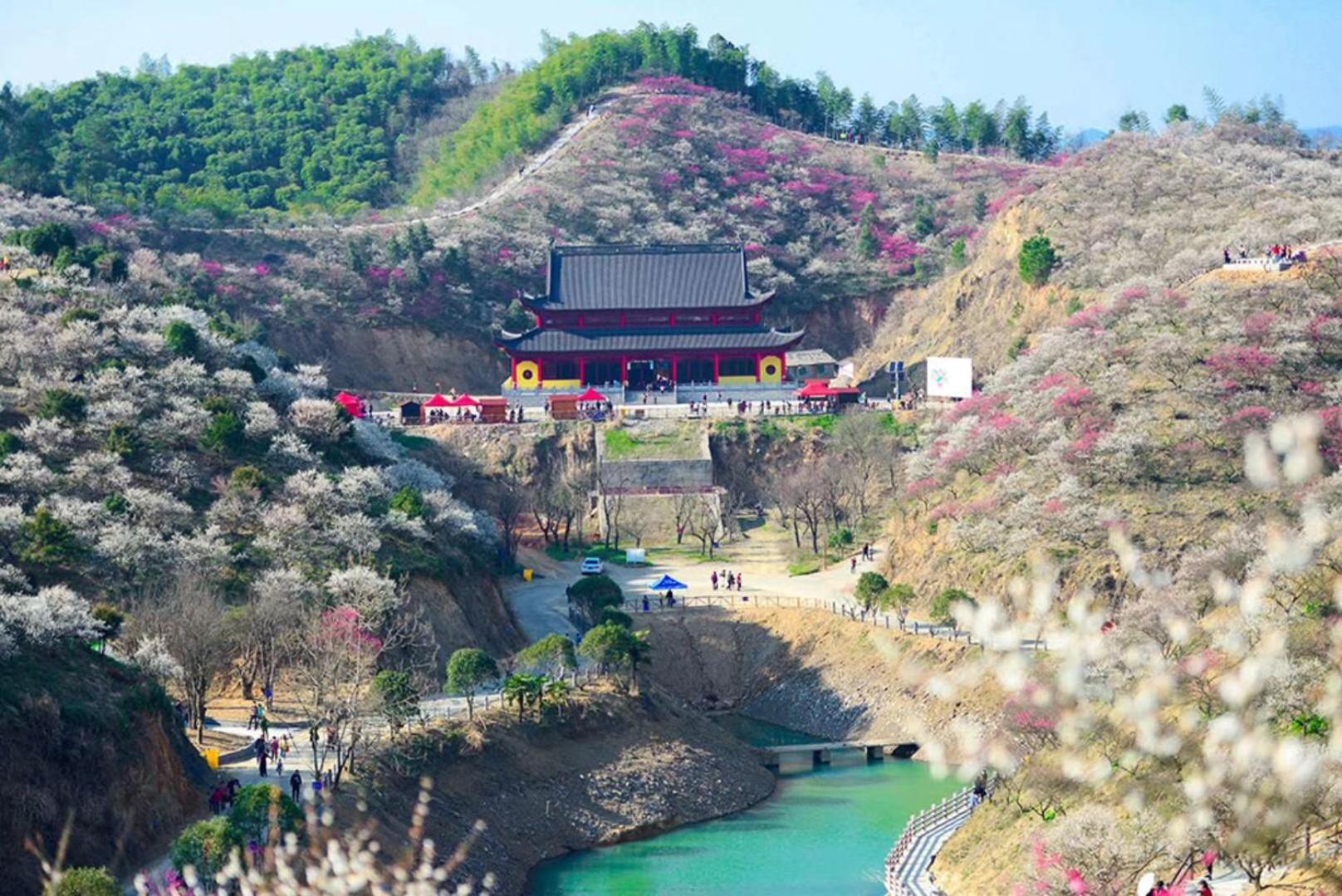 安吉 小森林 Little Forest Anji
