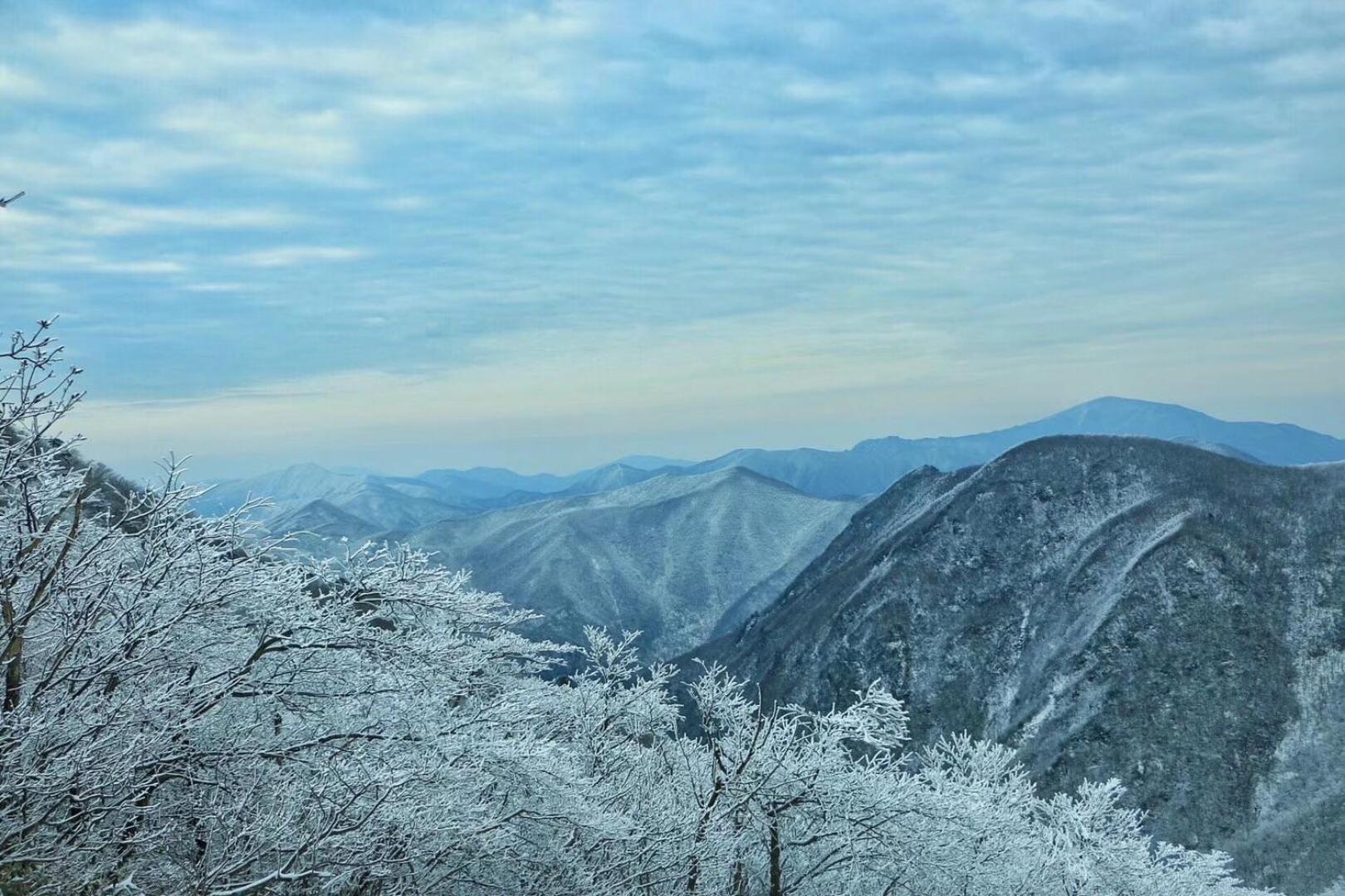 安吉 小森林 Little Forest Anji