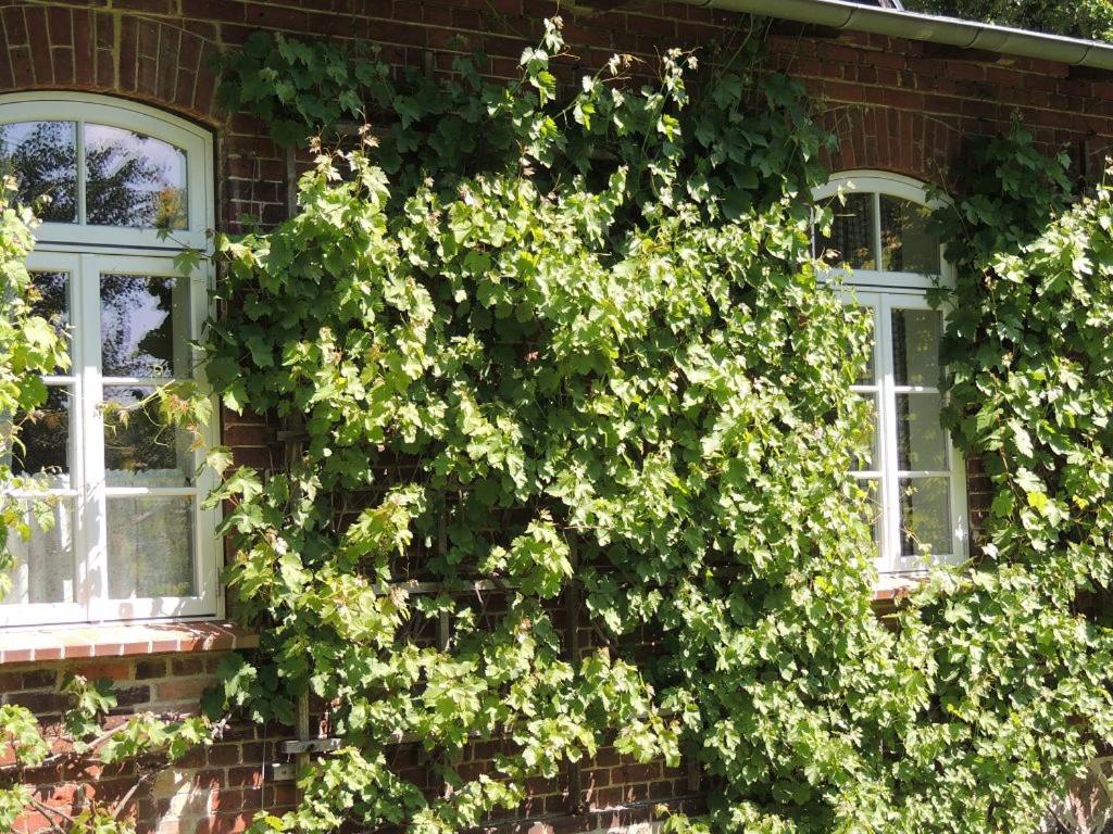Pfarrhof Stuer