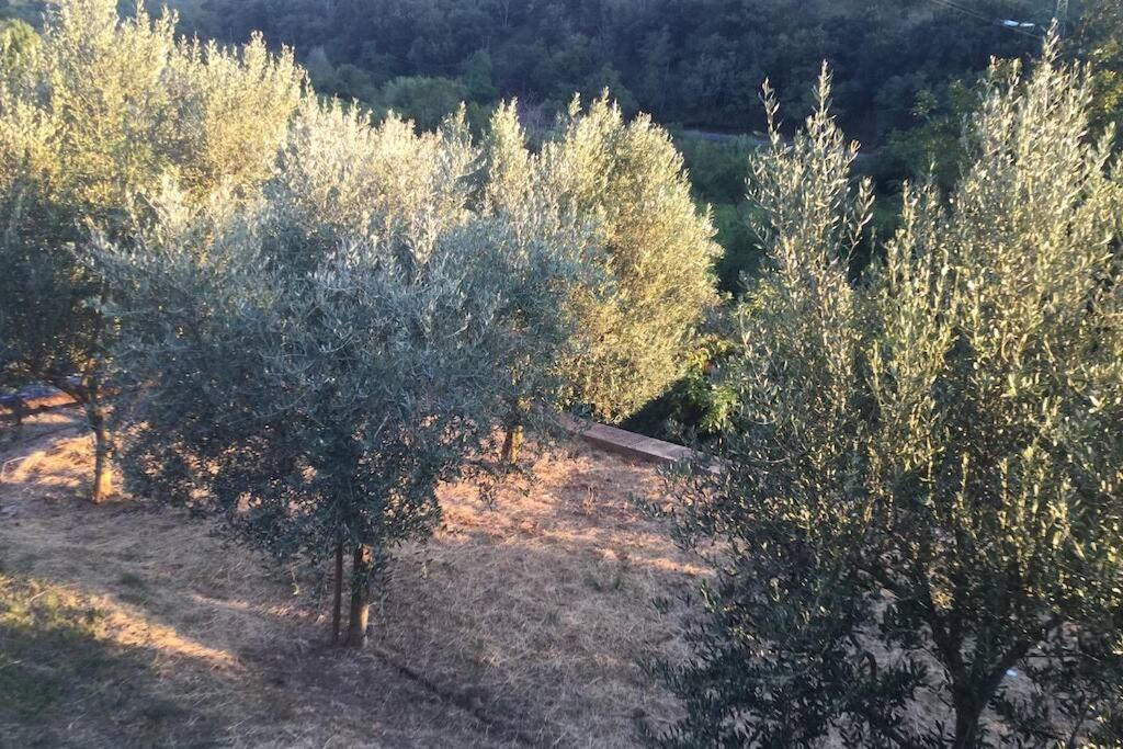 Casetta Helena photo 2