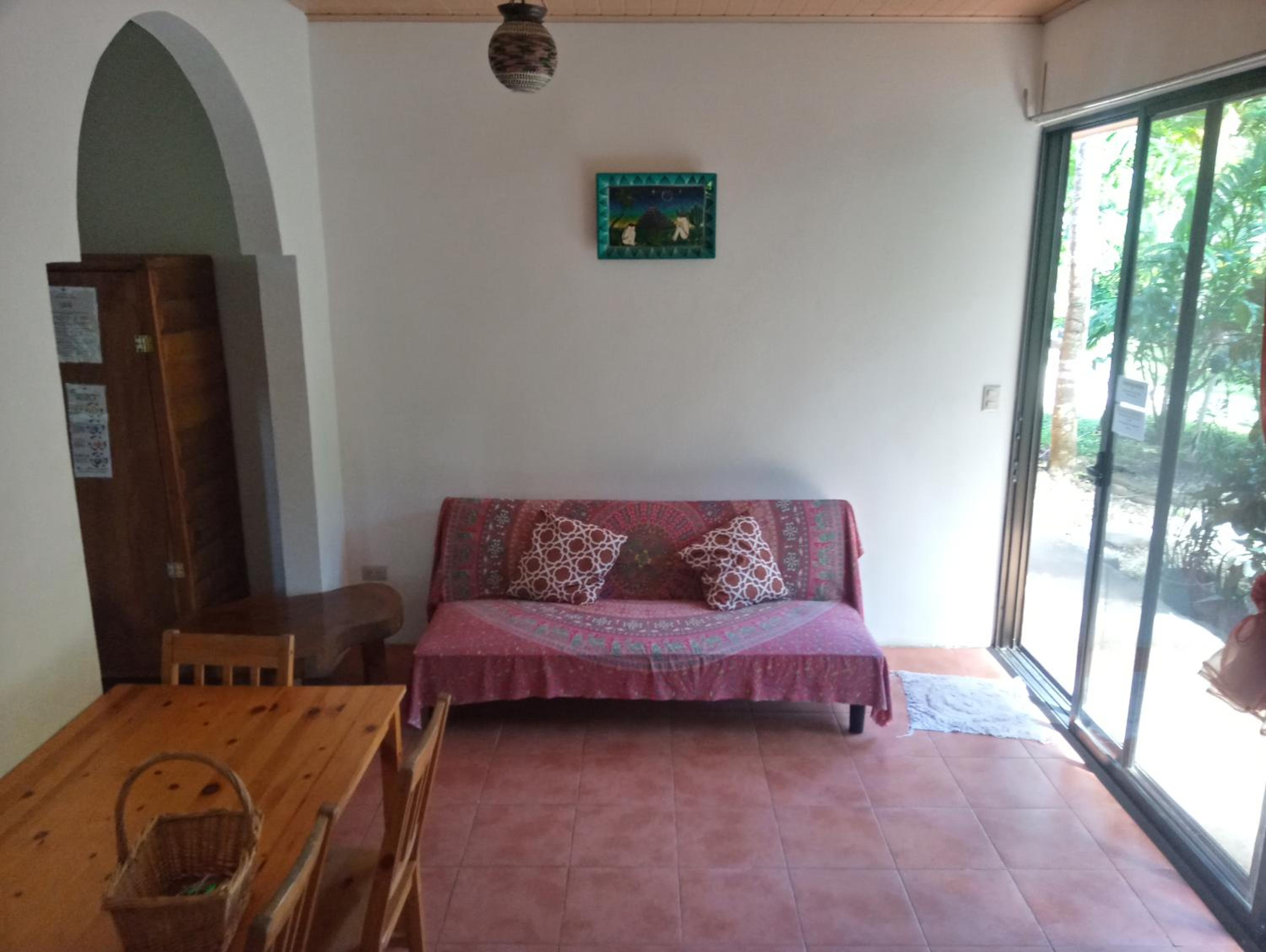 Blanconejo de Montezuma
