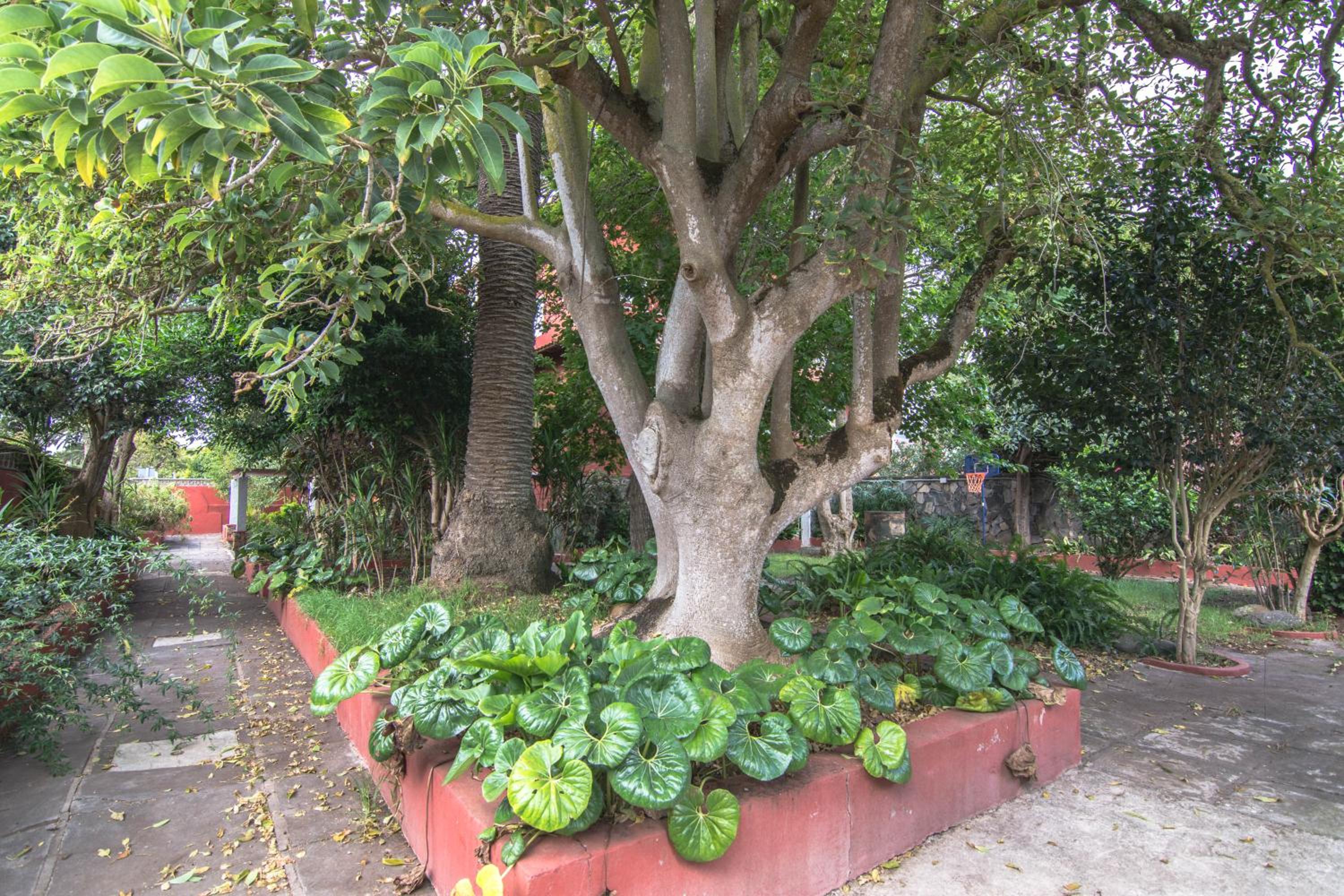 Photo 36
