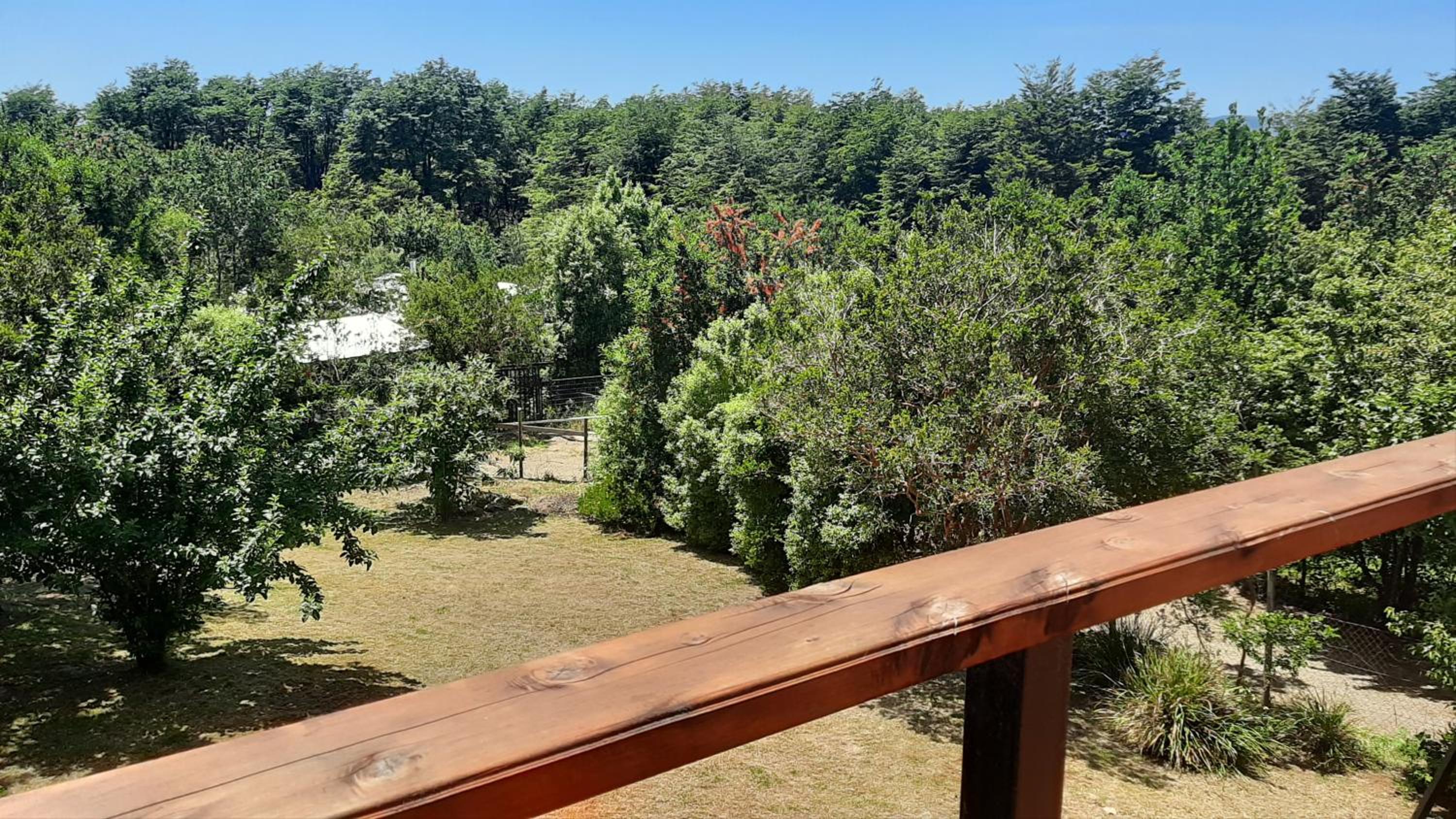 Hostel Torobayo view 5