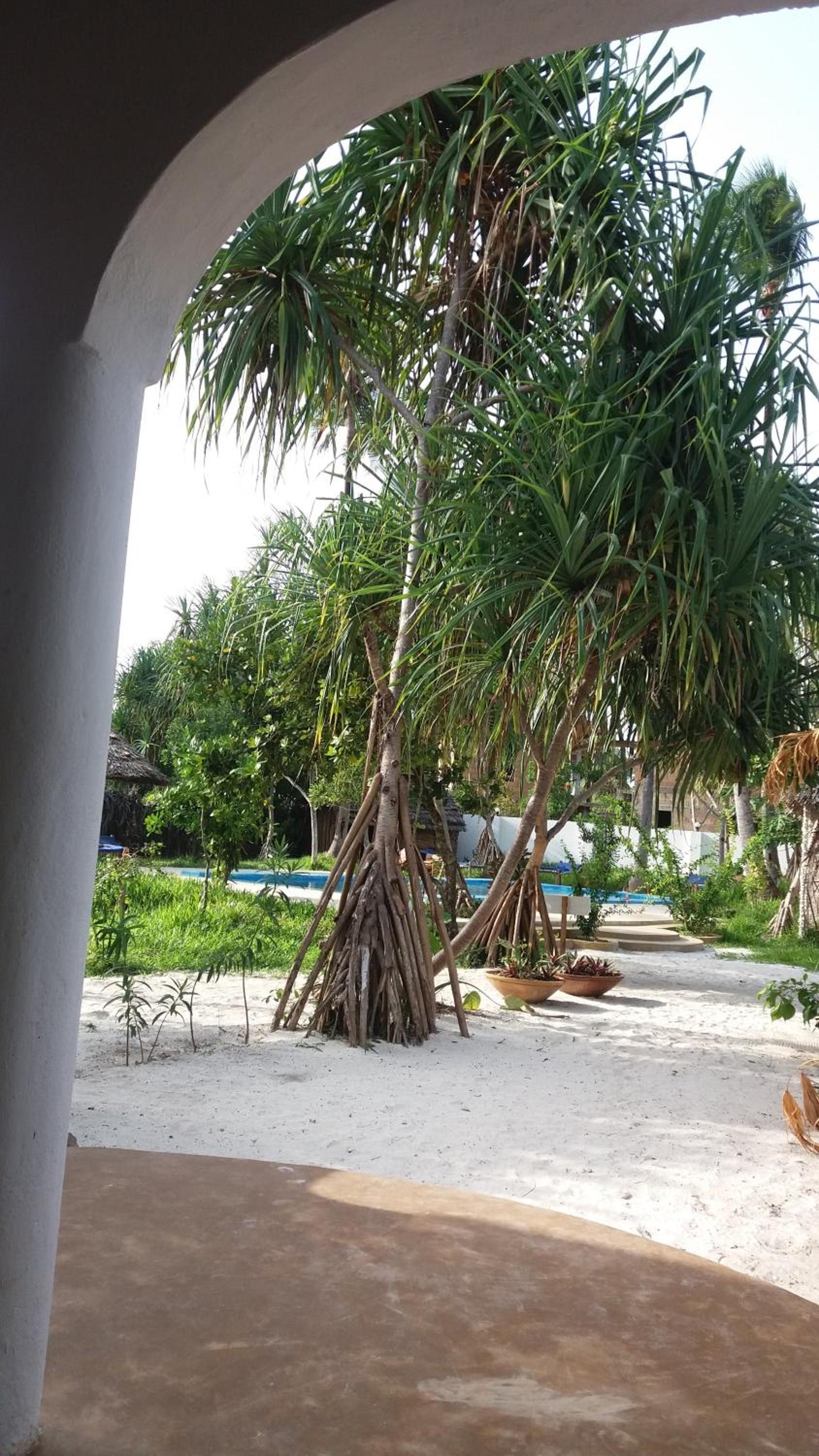 Laguna Palace Zanzibar view 4