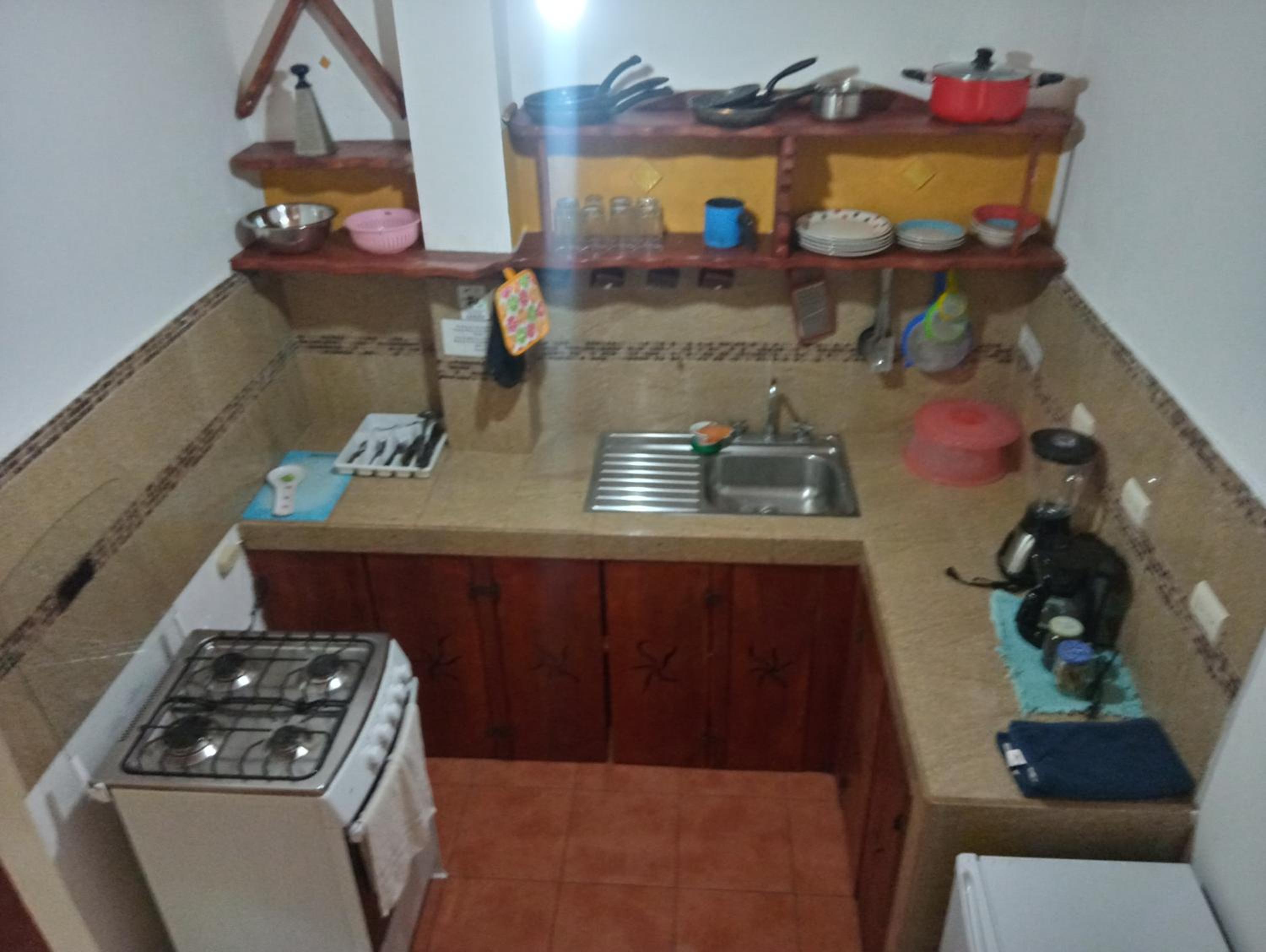 Blanconejo de Montezuma