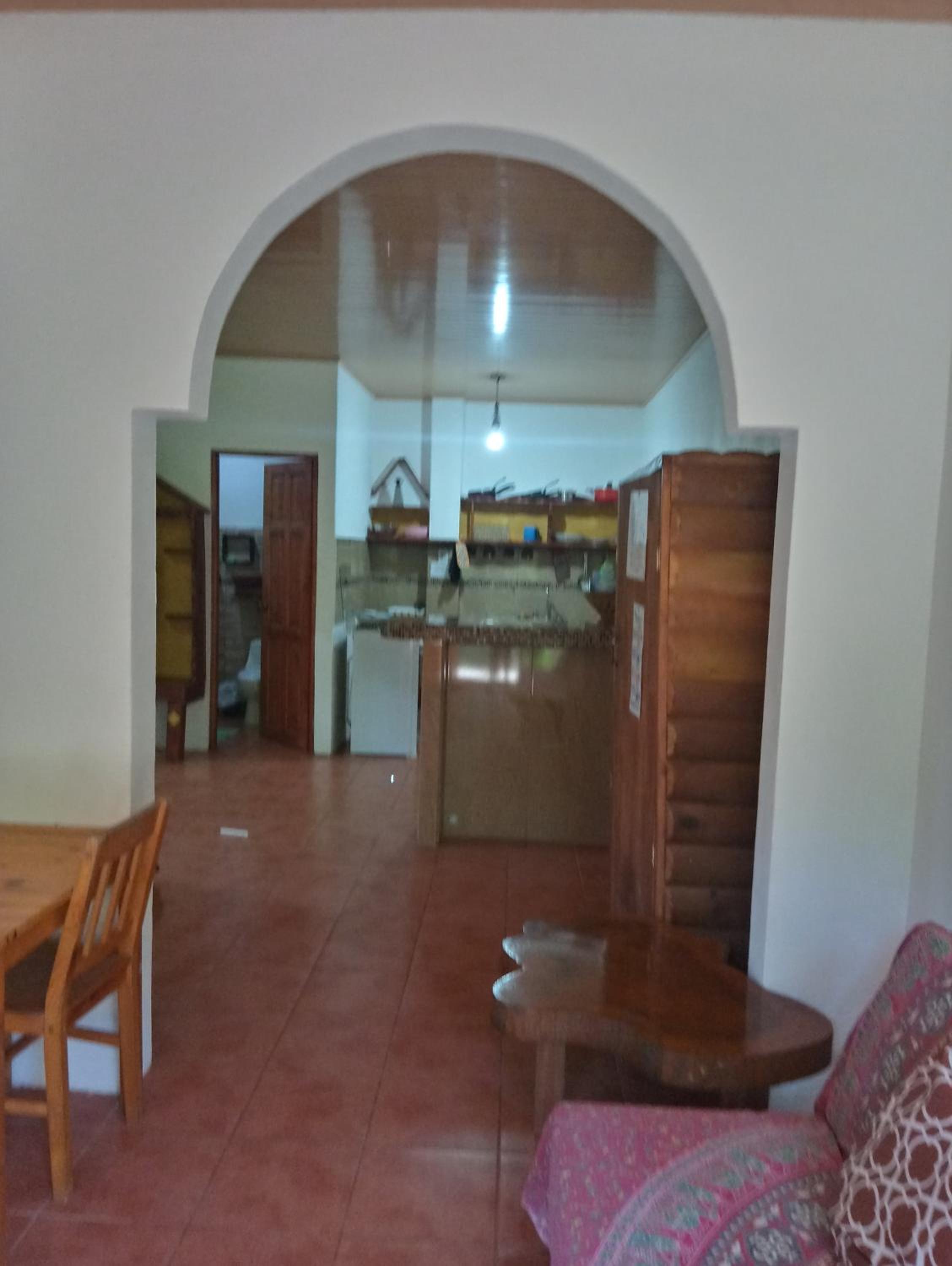 Blanconejo de Montezuma