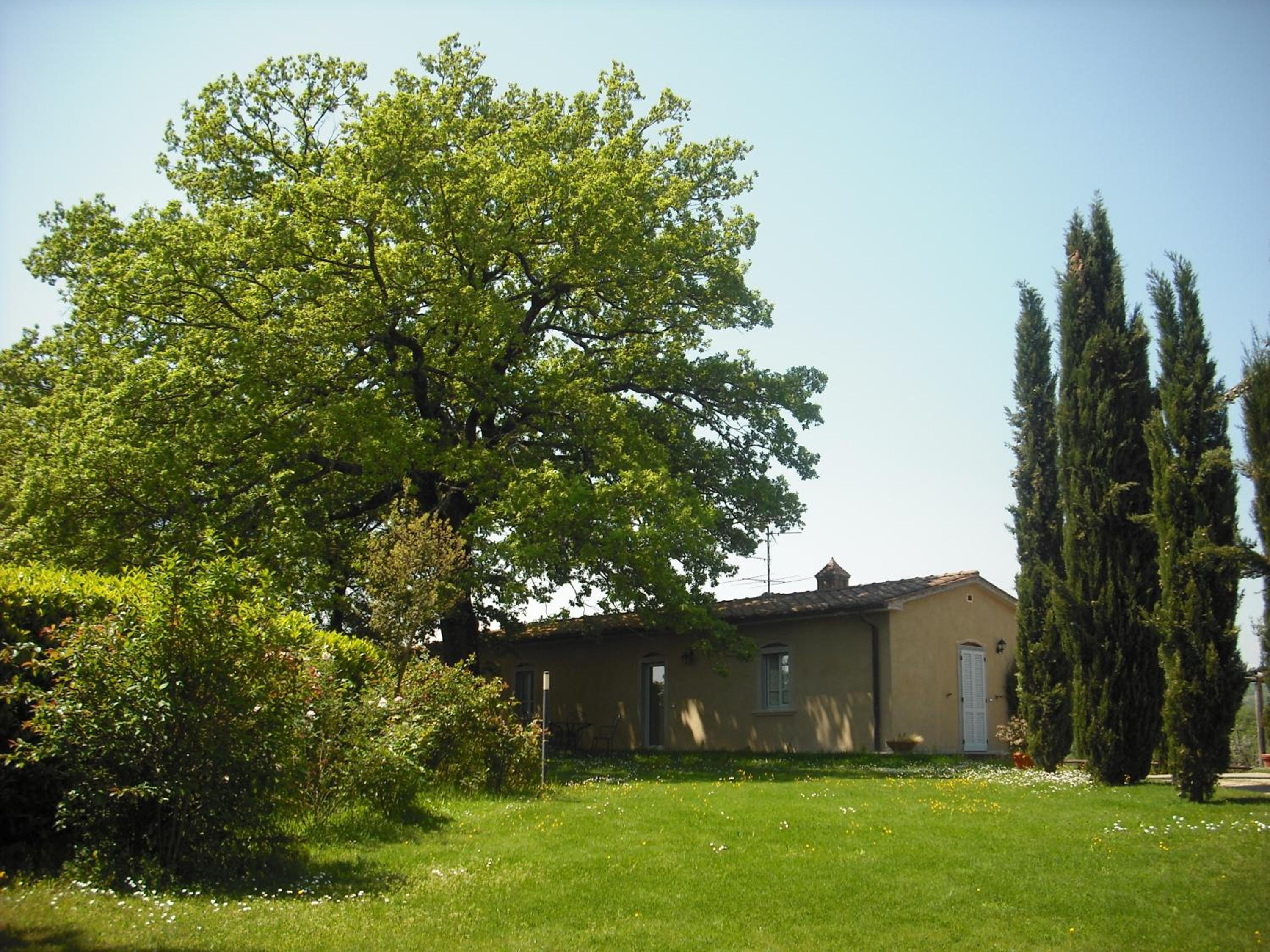 Photo 32