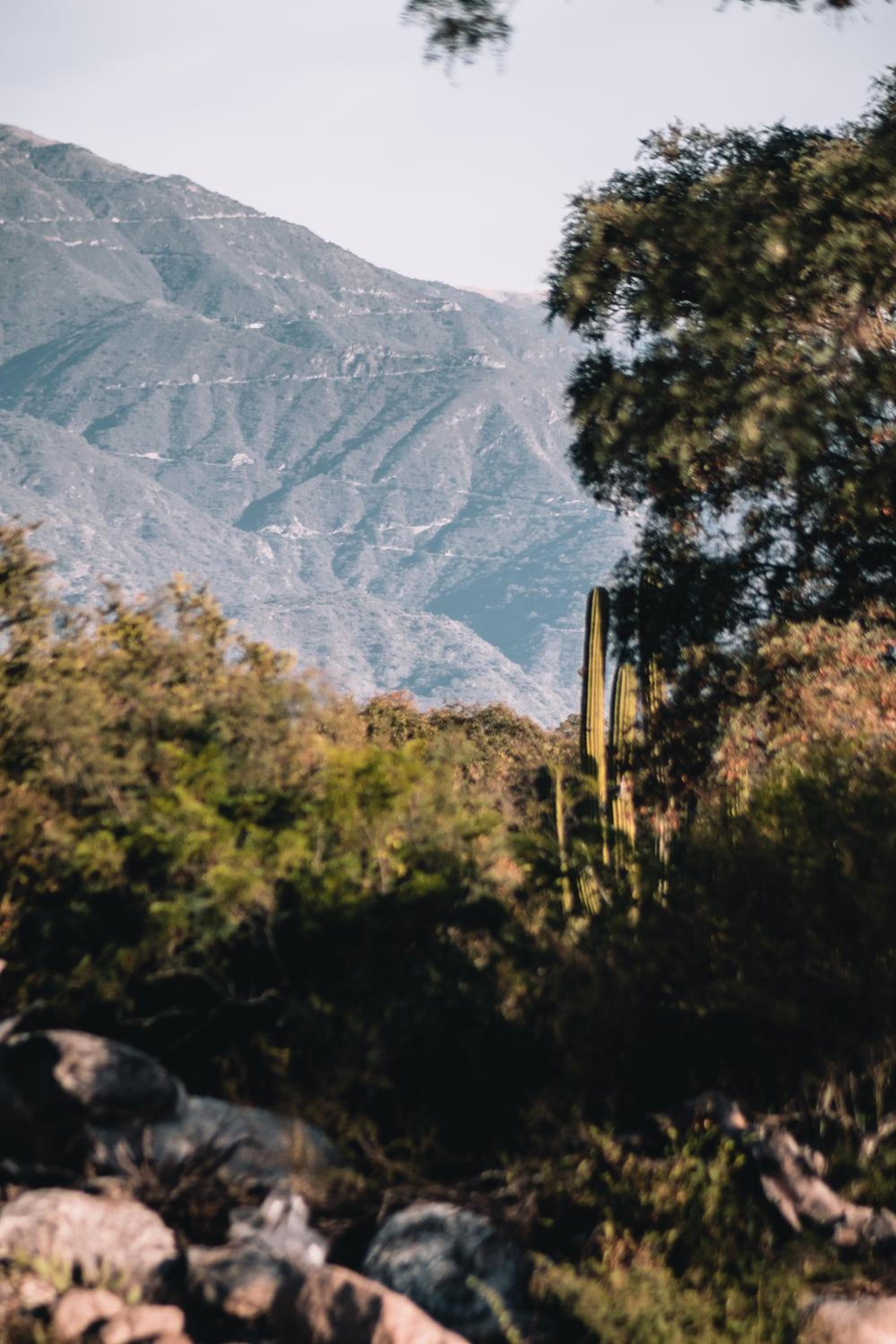 La Ceiba