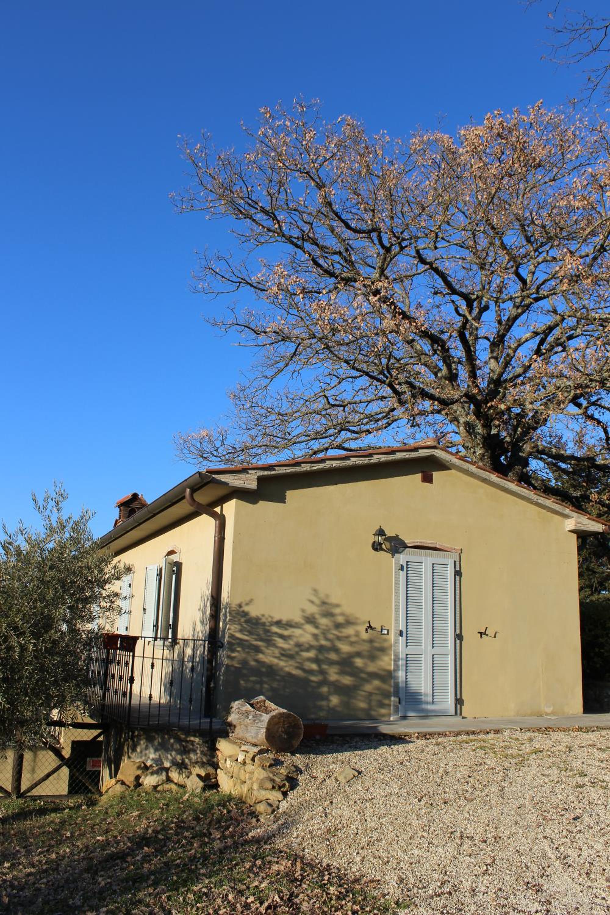 Photo 43