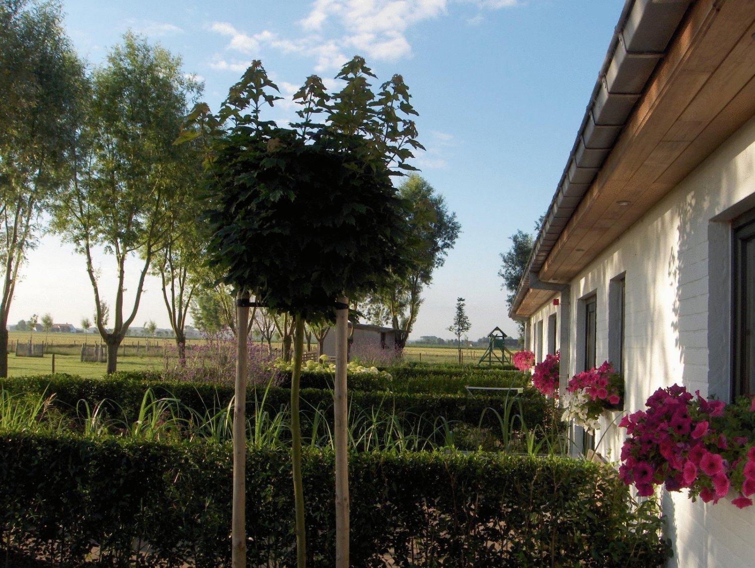 B&B Knotwilgenhoeve