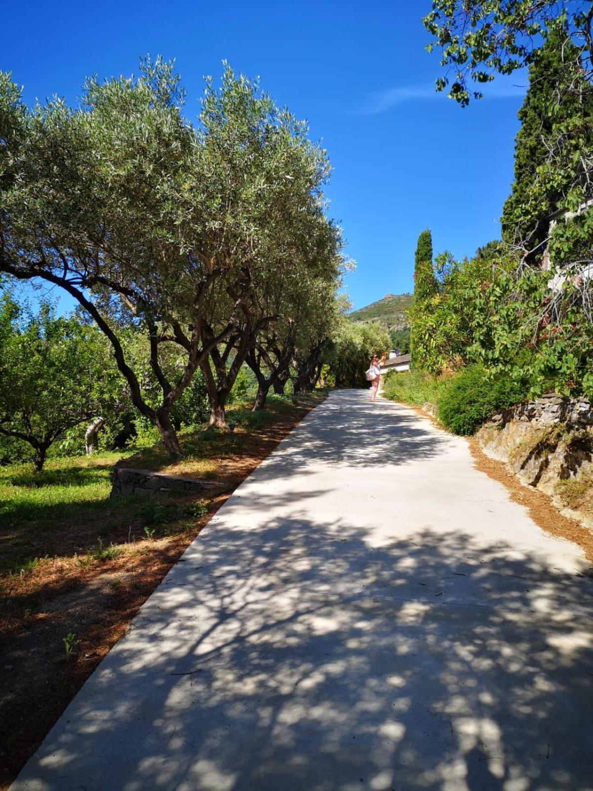 Villa Milanu view 5