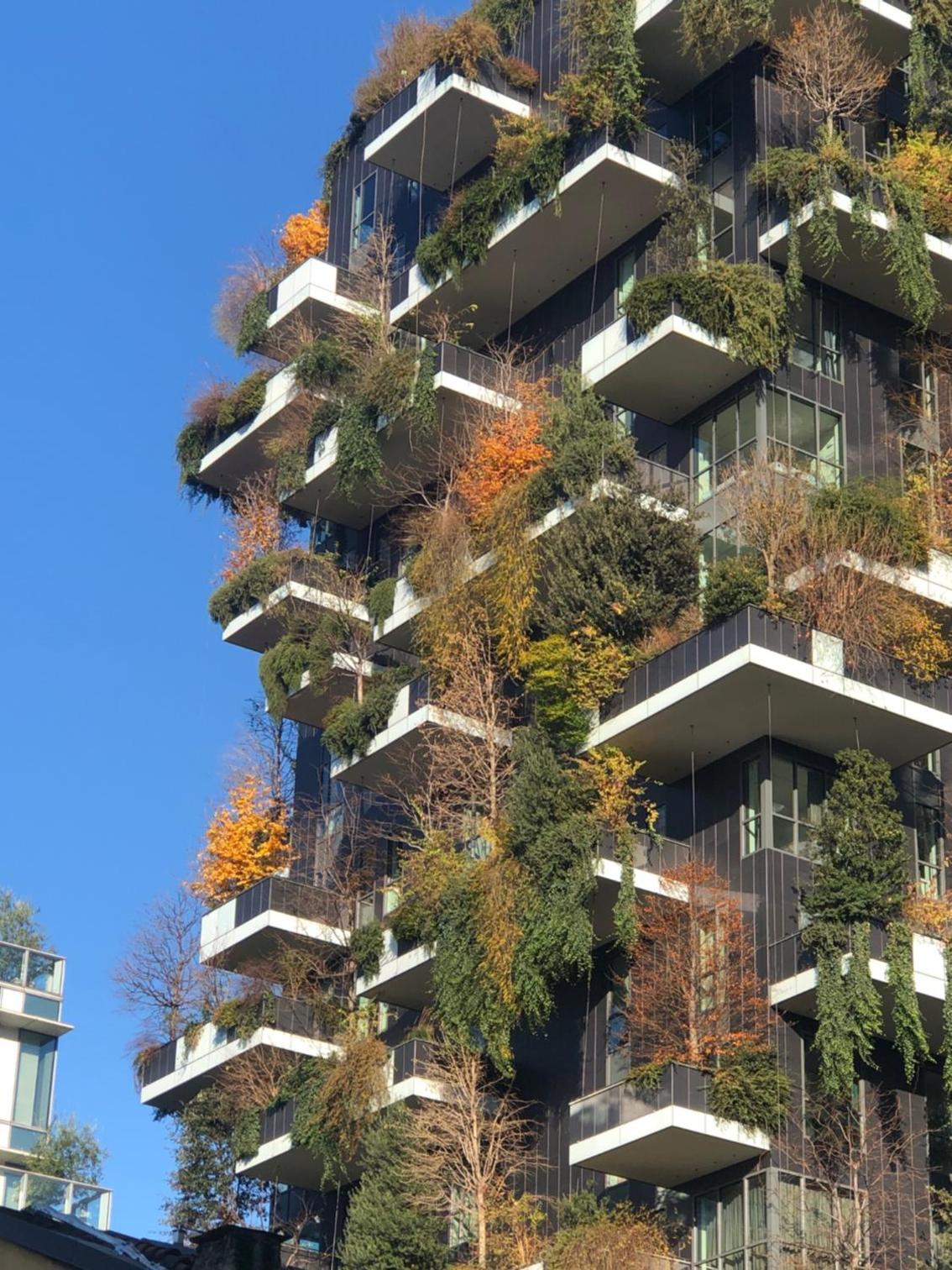 Vivere Milano Isola