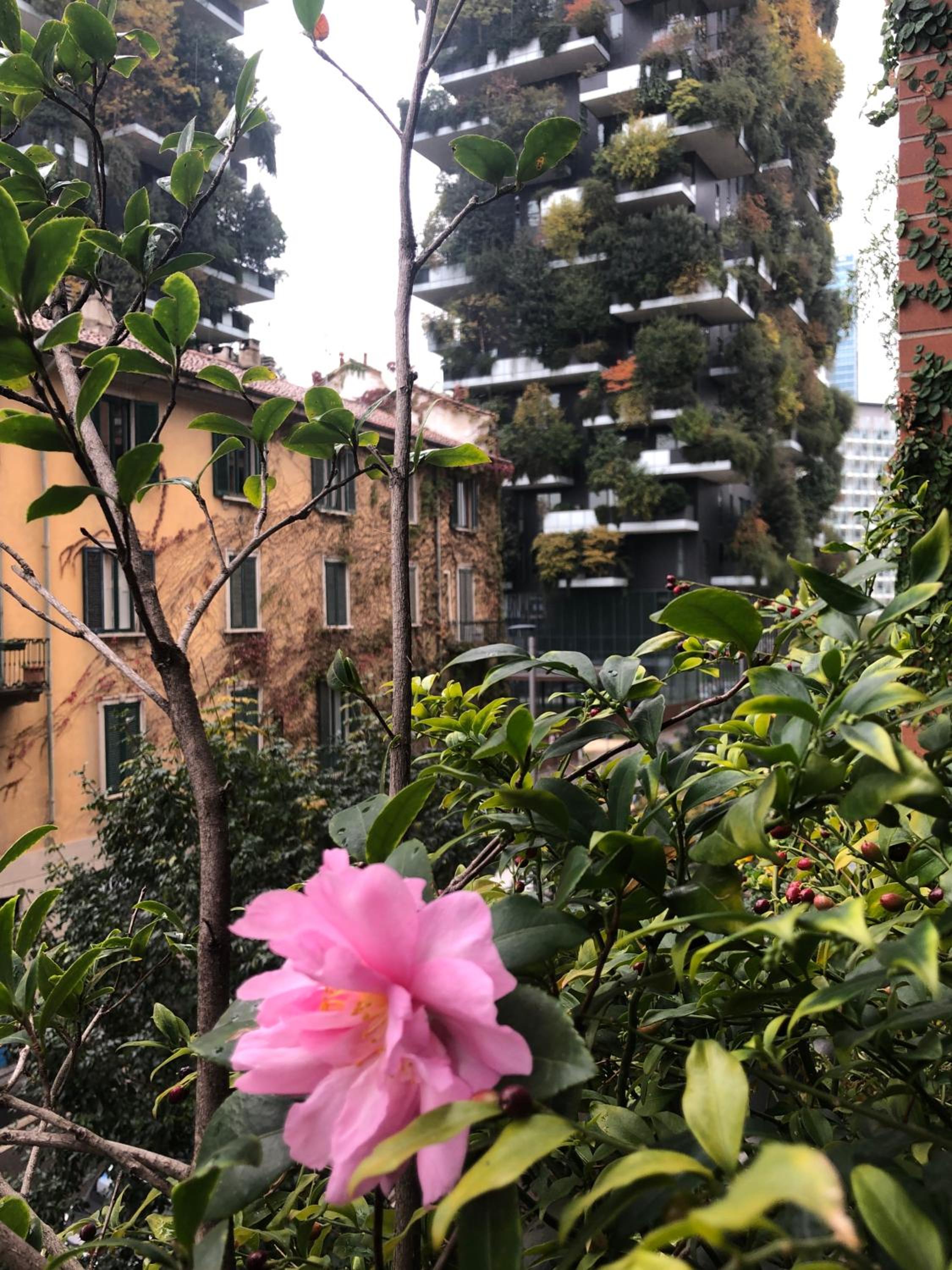Vivere Milano Isola