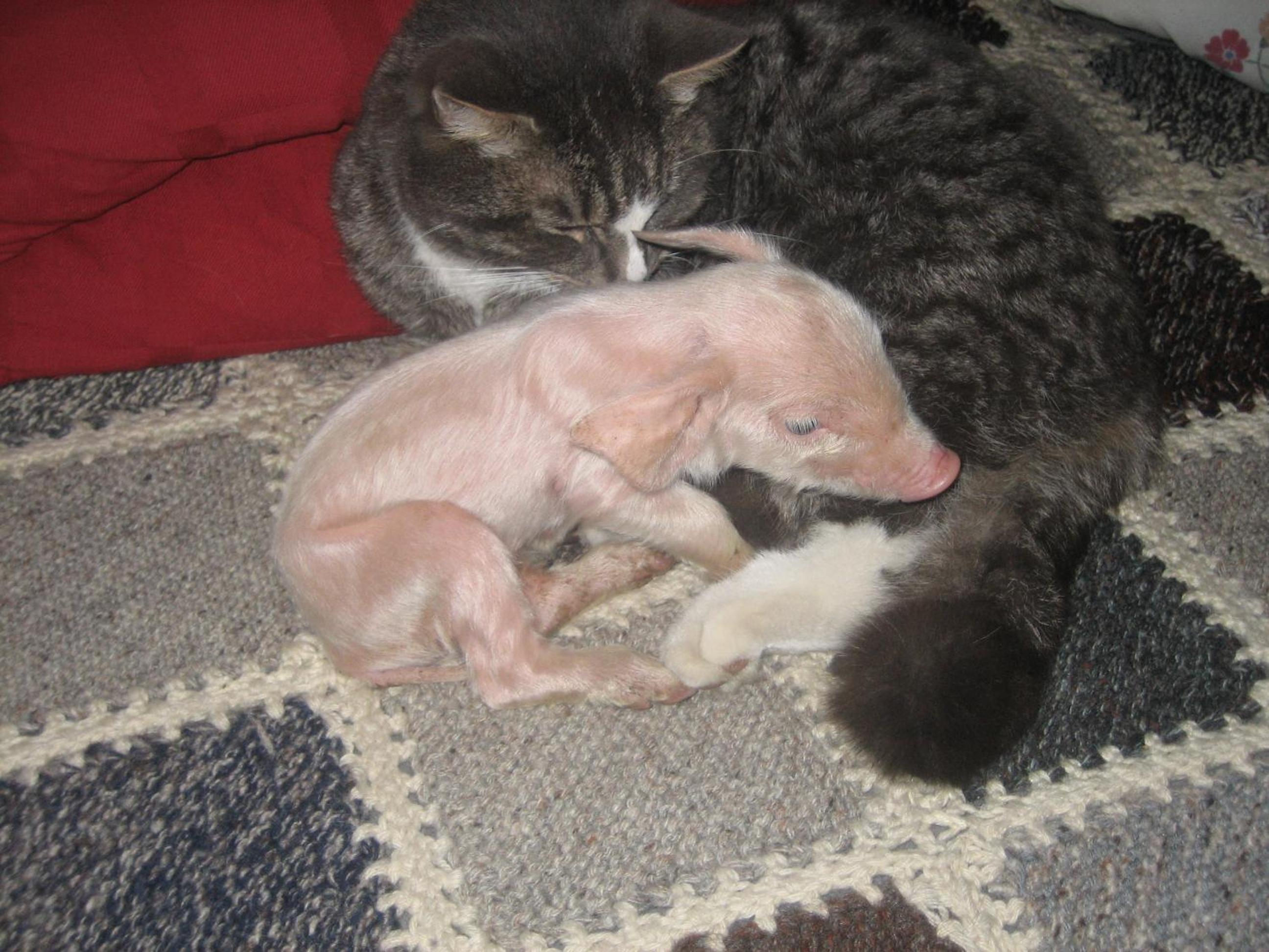 Photo 29
