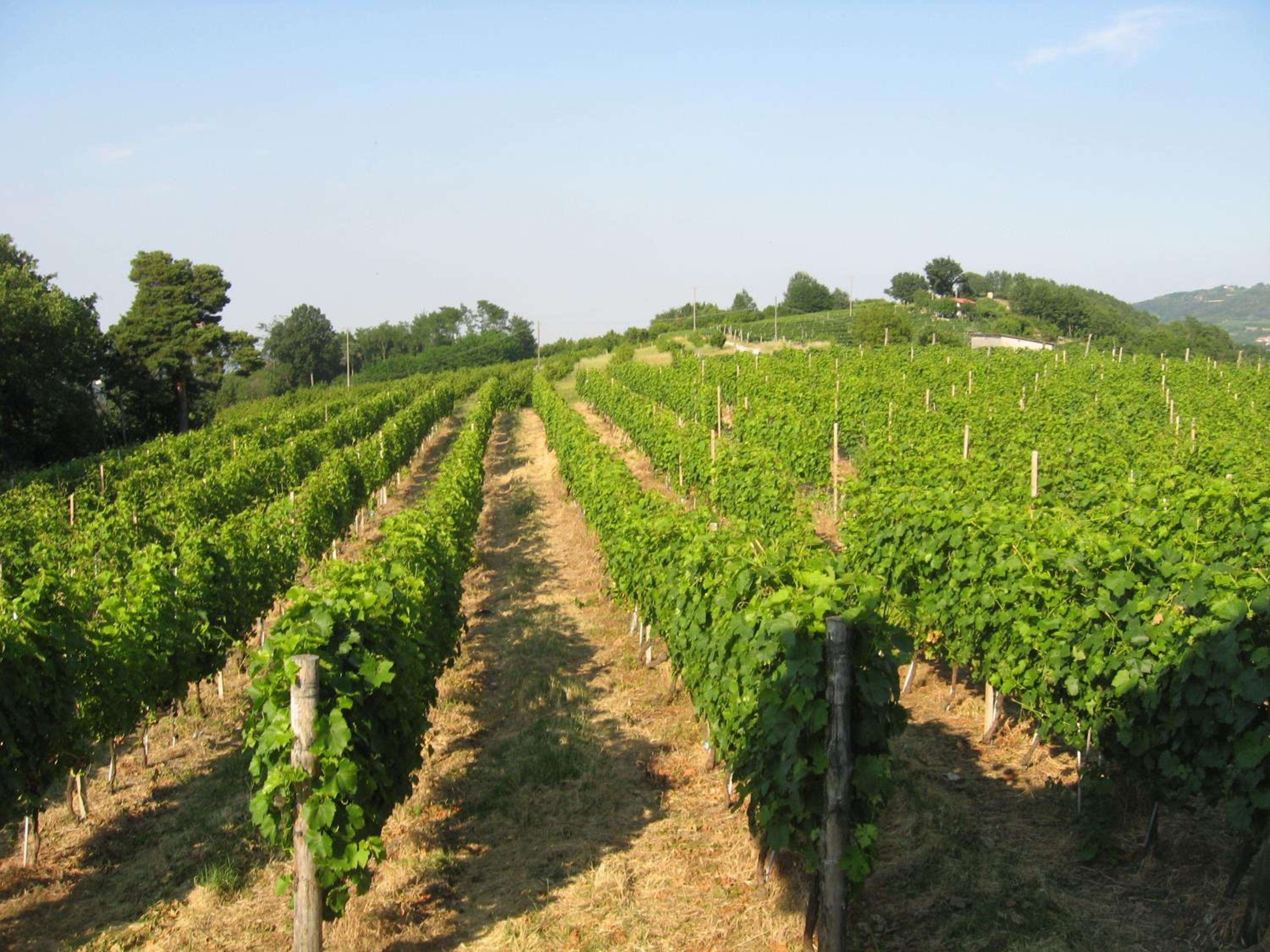 Agriturismo Cascina Serra