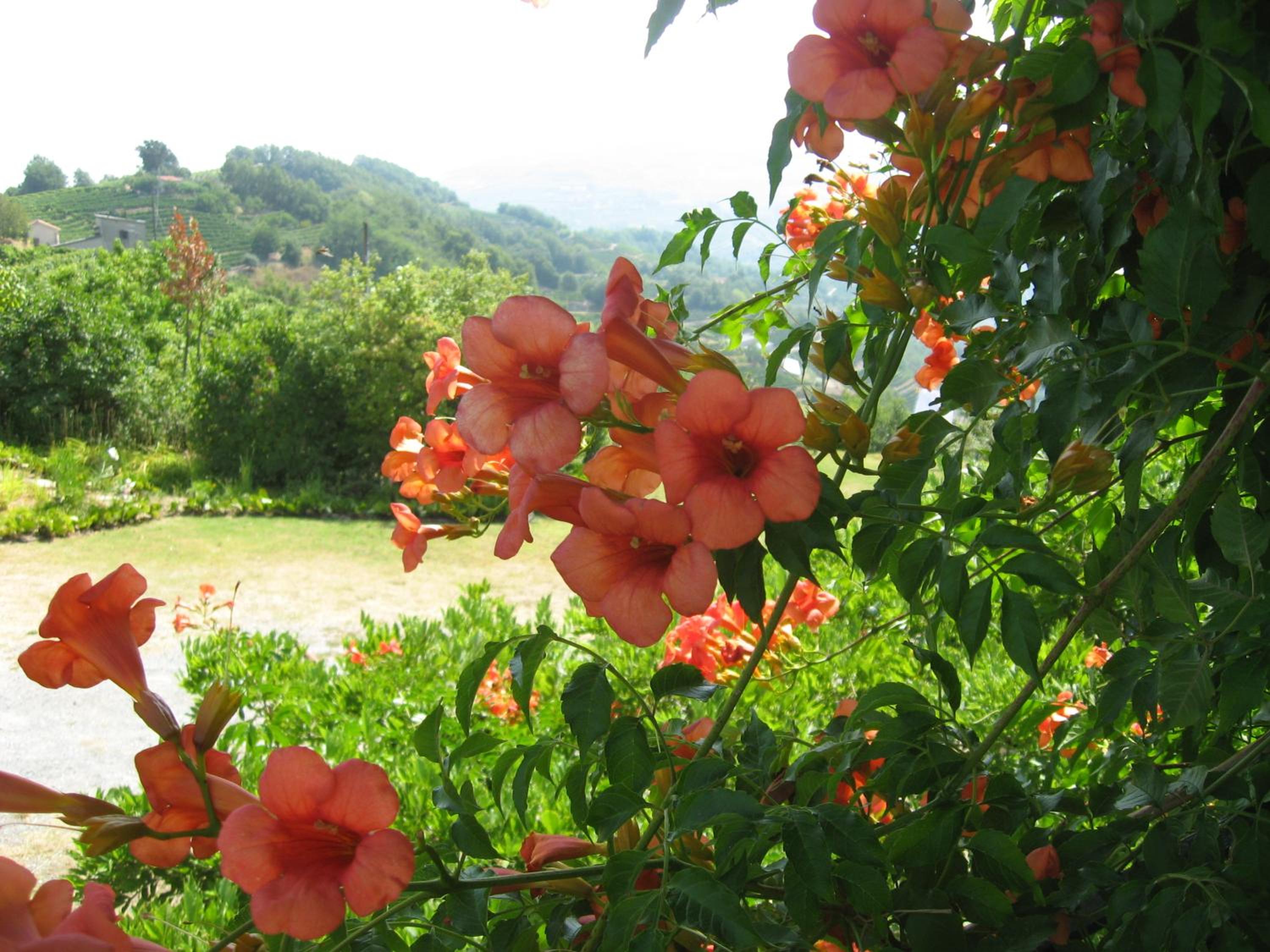 Agriturismo Cascina Serra