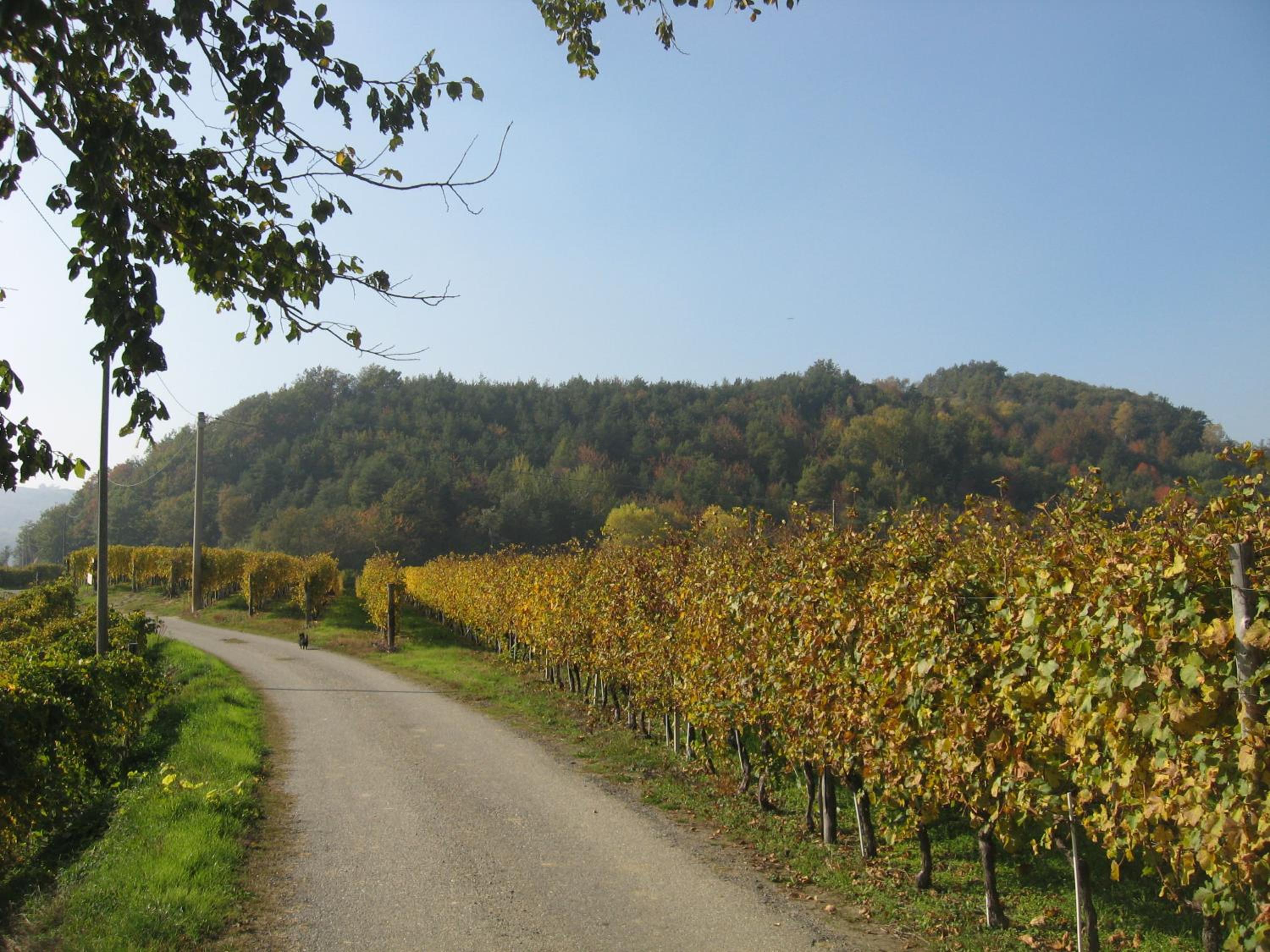 Agriturismo Cascina Serra