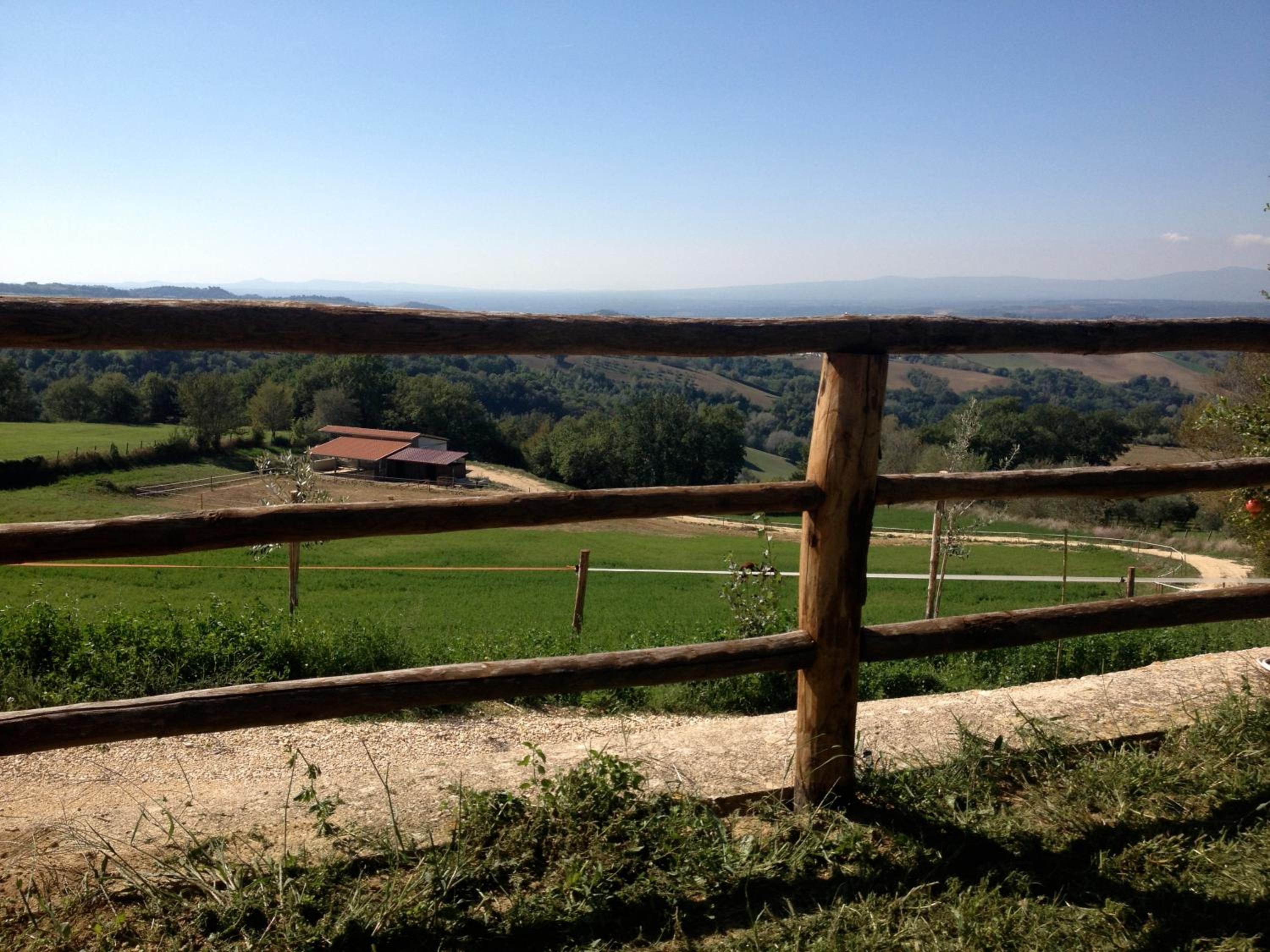 Tenuta San Savino delle Rocchette