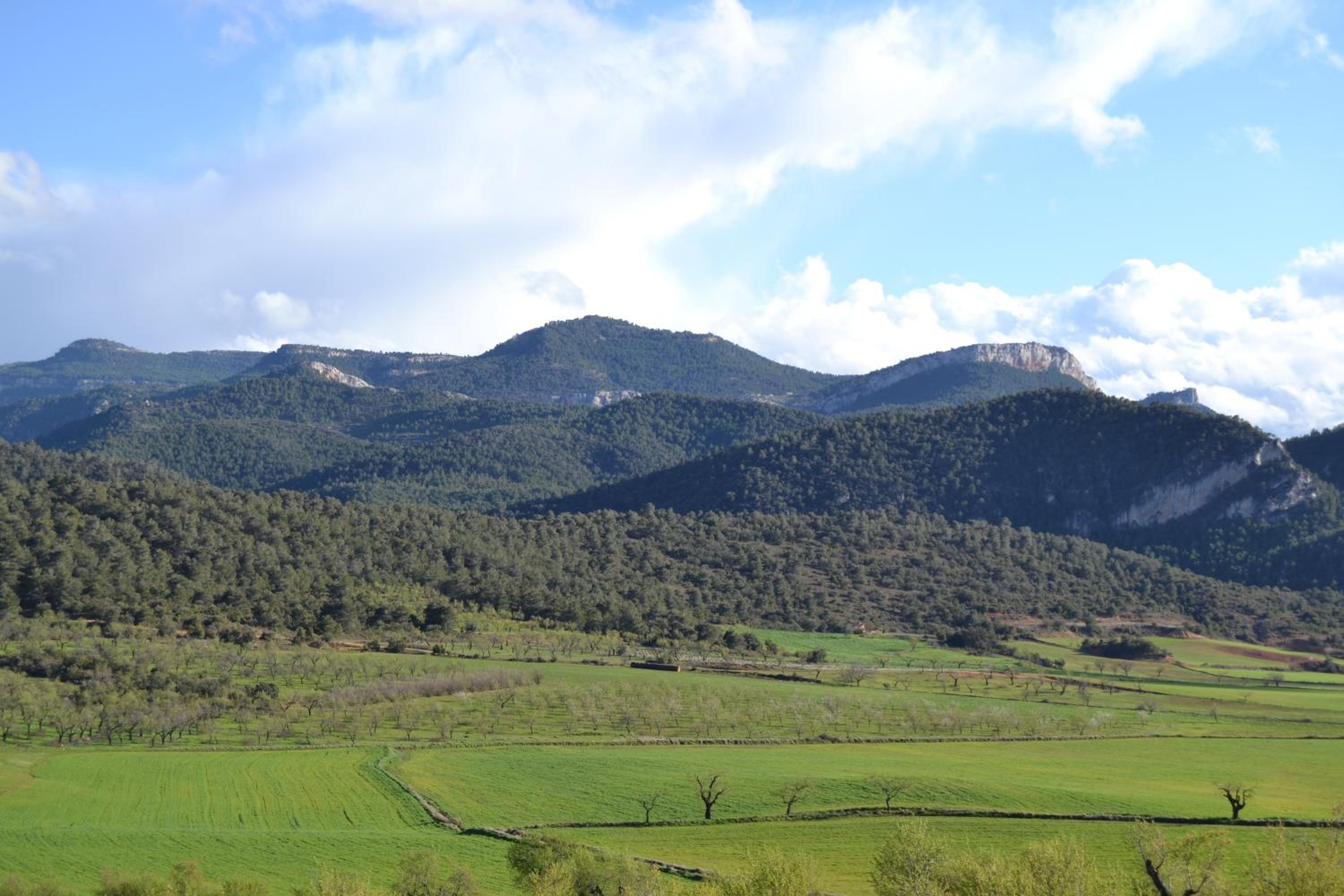 Mas de Salvador