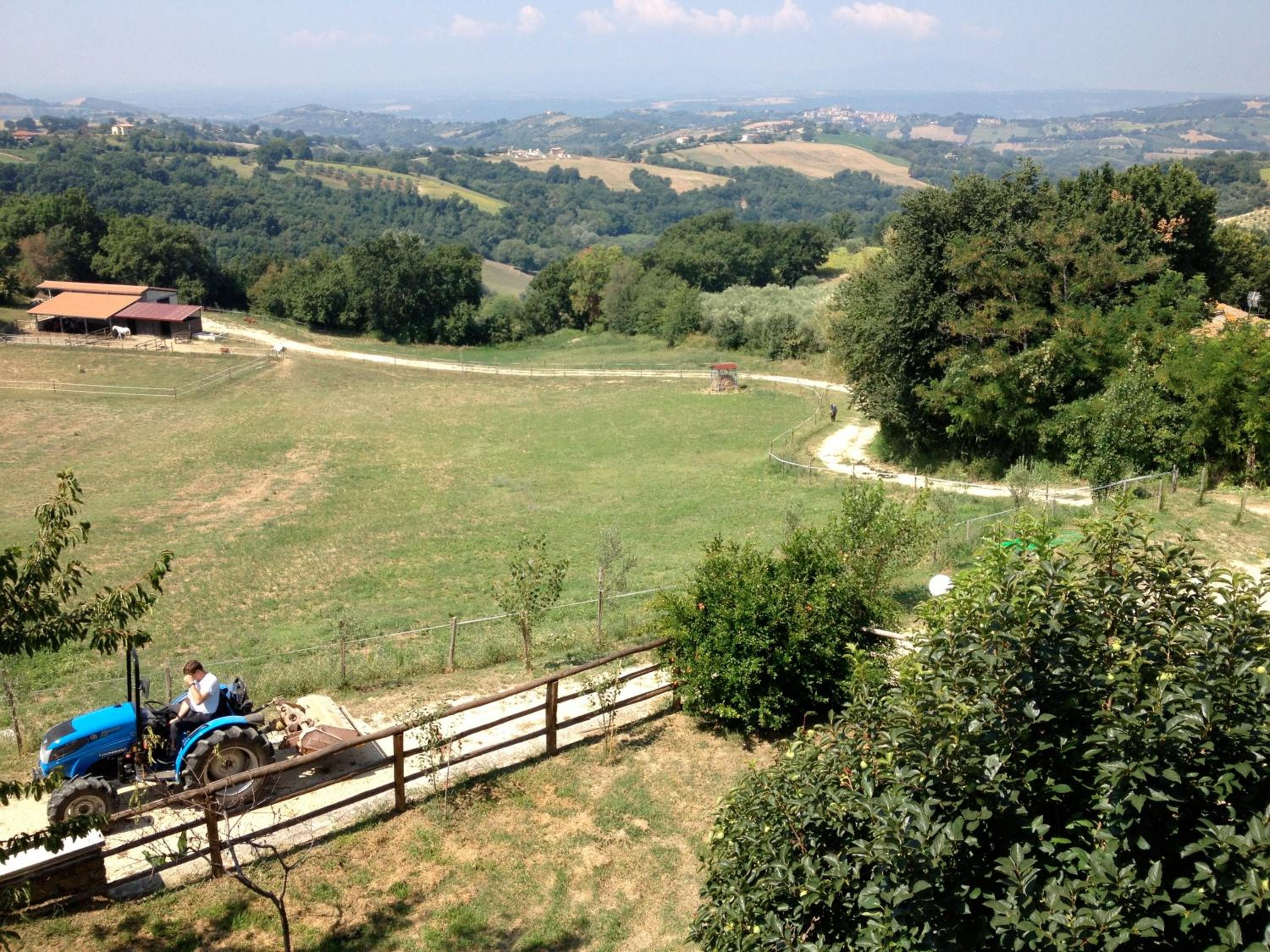 Tenuta San Savino delle Rocchette